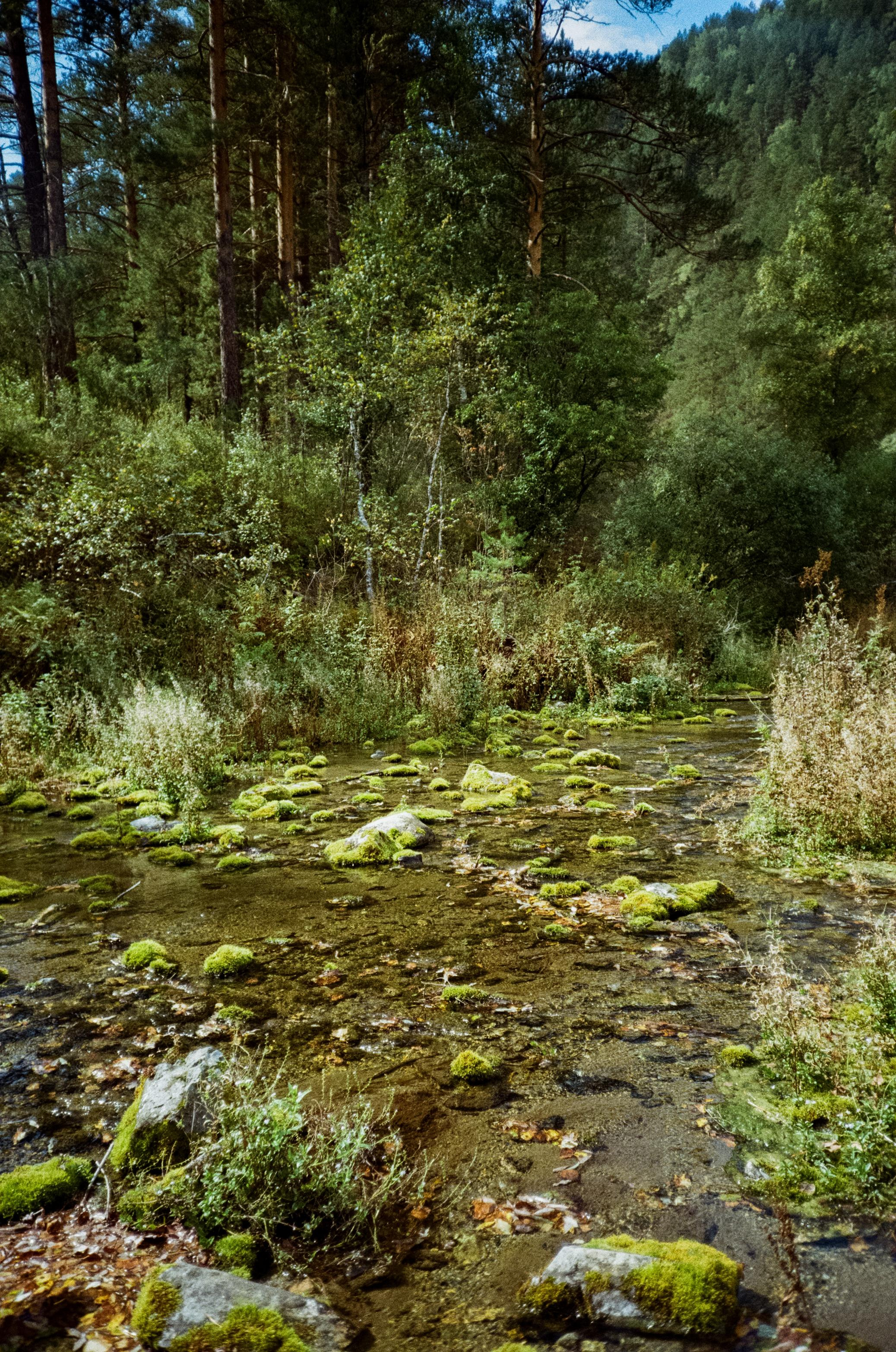 Алтай на фотопленку