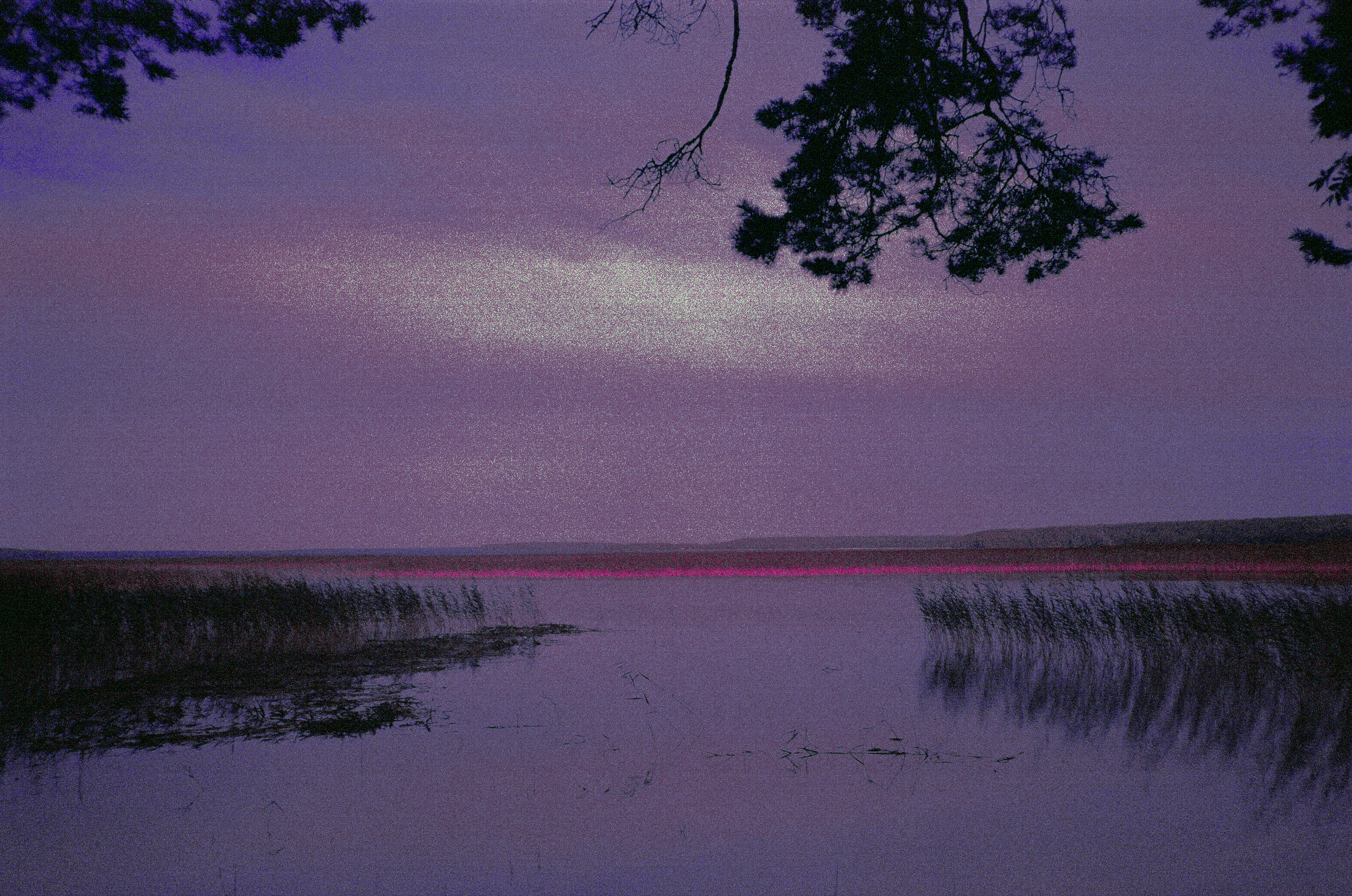 Фотография на просроченную пленку Konica Centuria 400