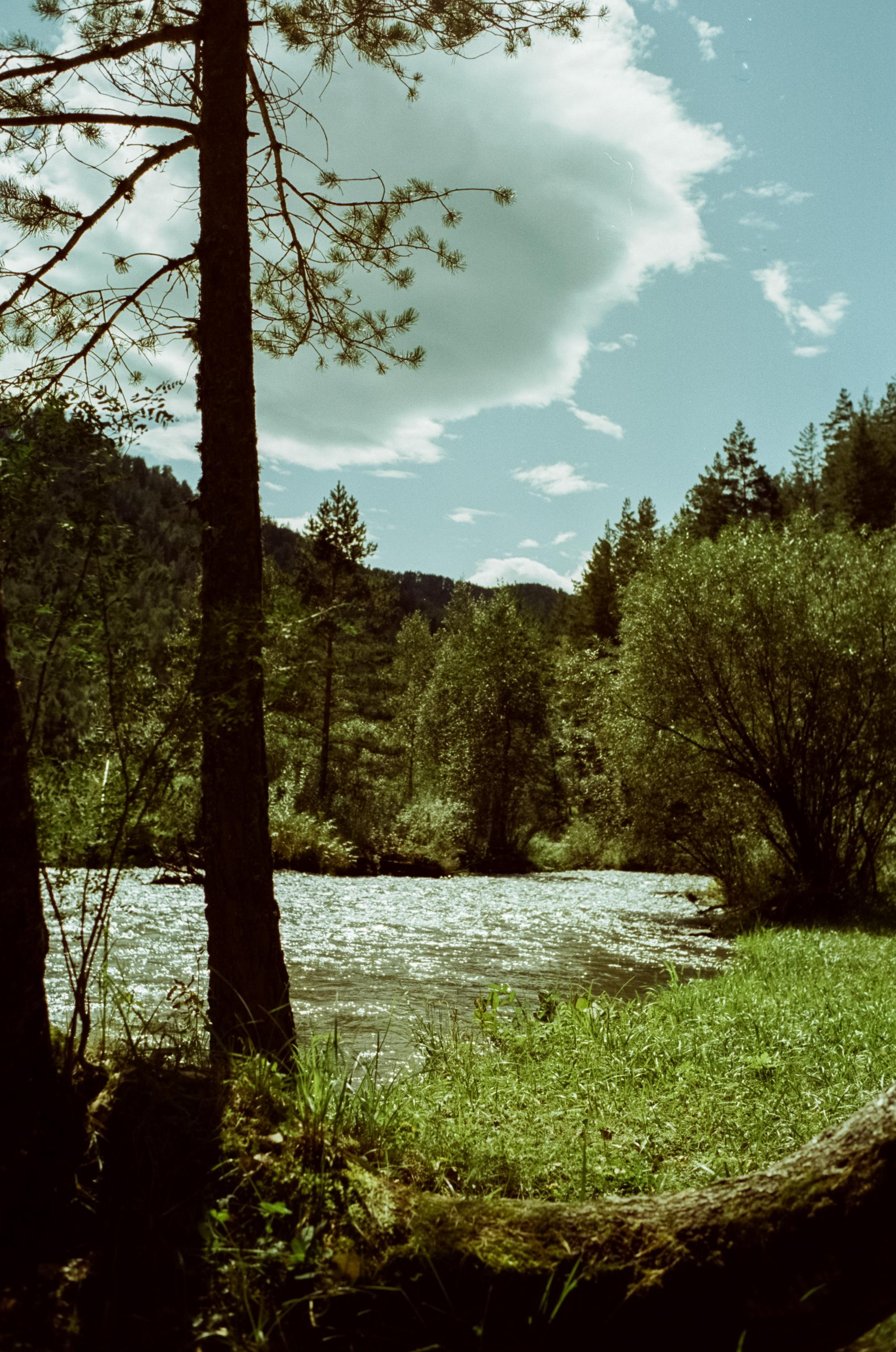 Самые красивые места Чемальского тракта на фотопленку