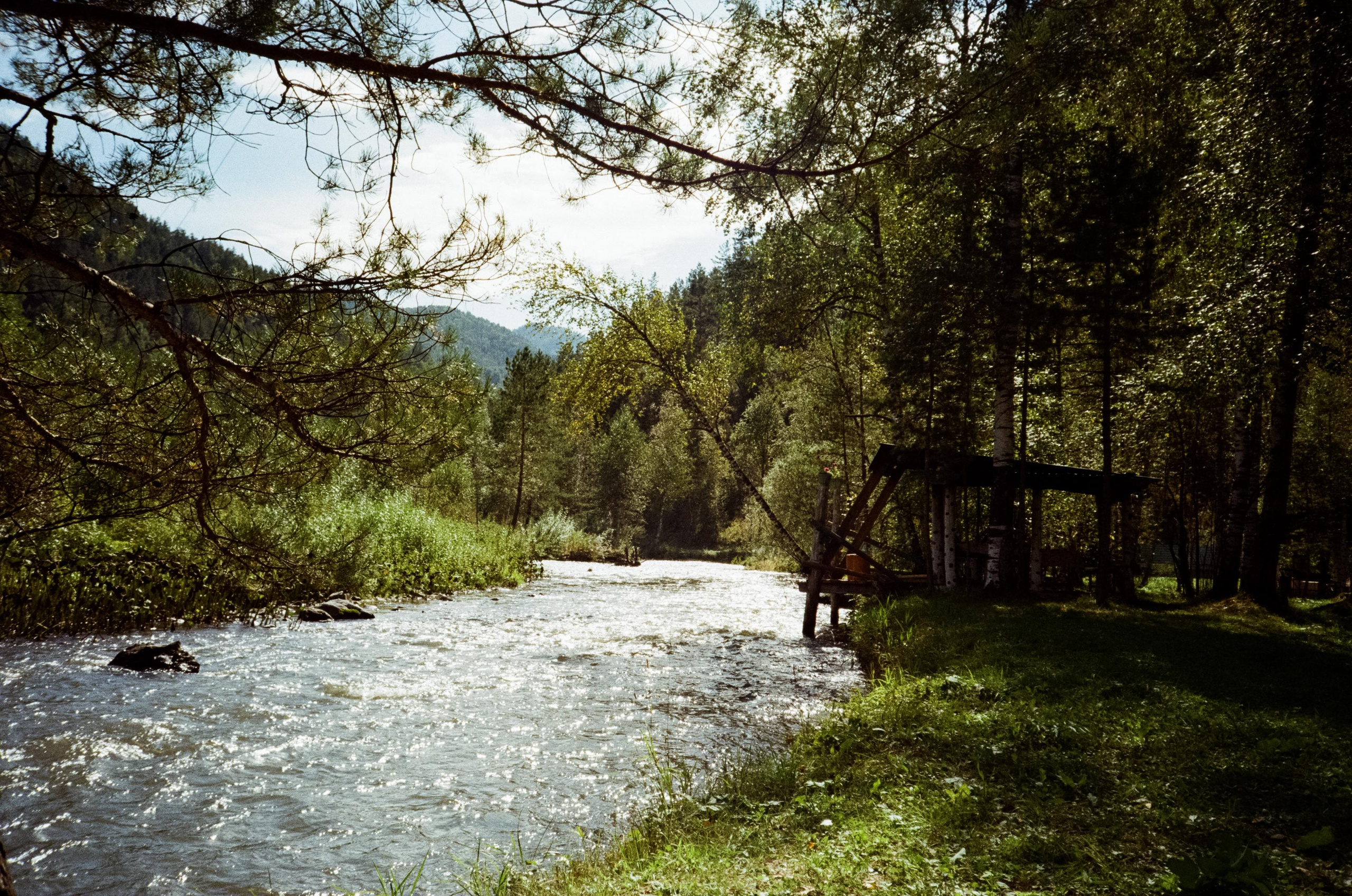 Примеры фотографий Алтай на фотопленку