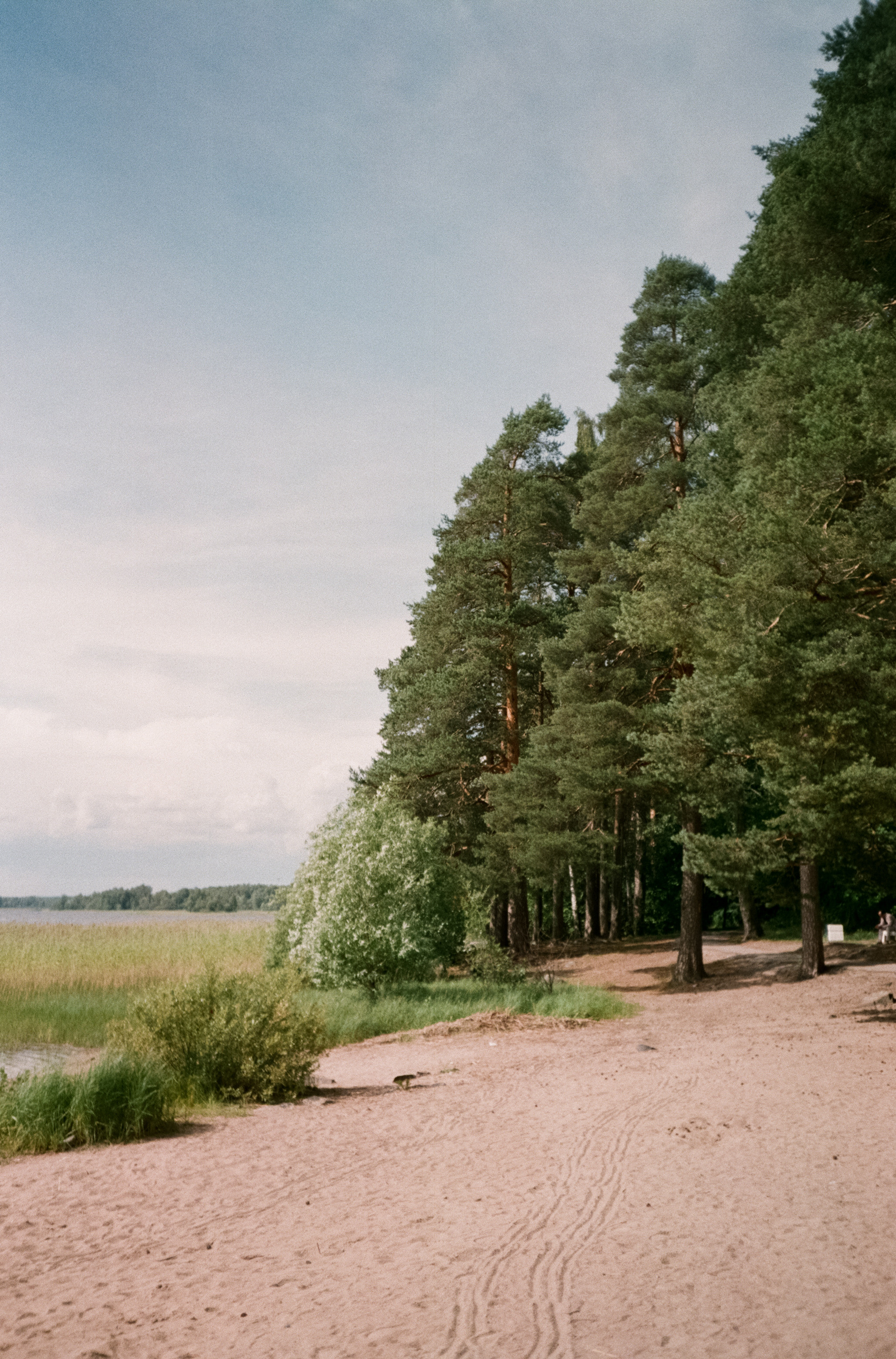 Остров Валаам и остров Каменистый на Cinestill 400D