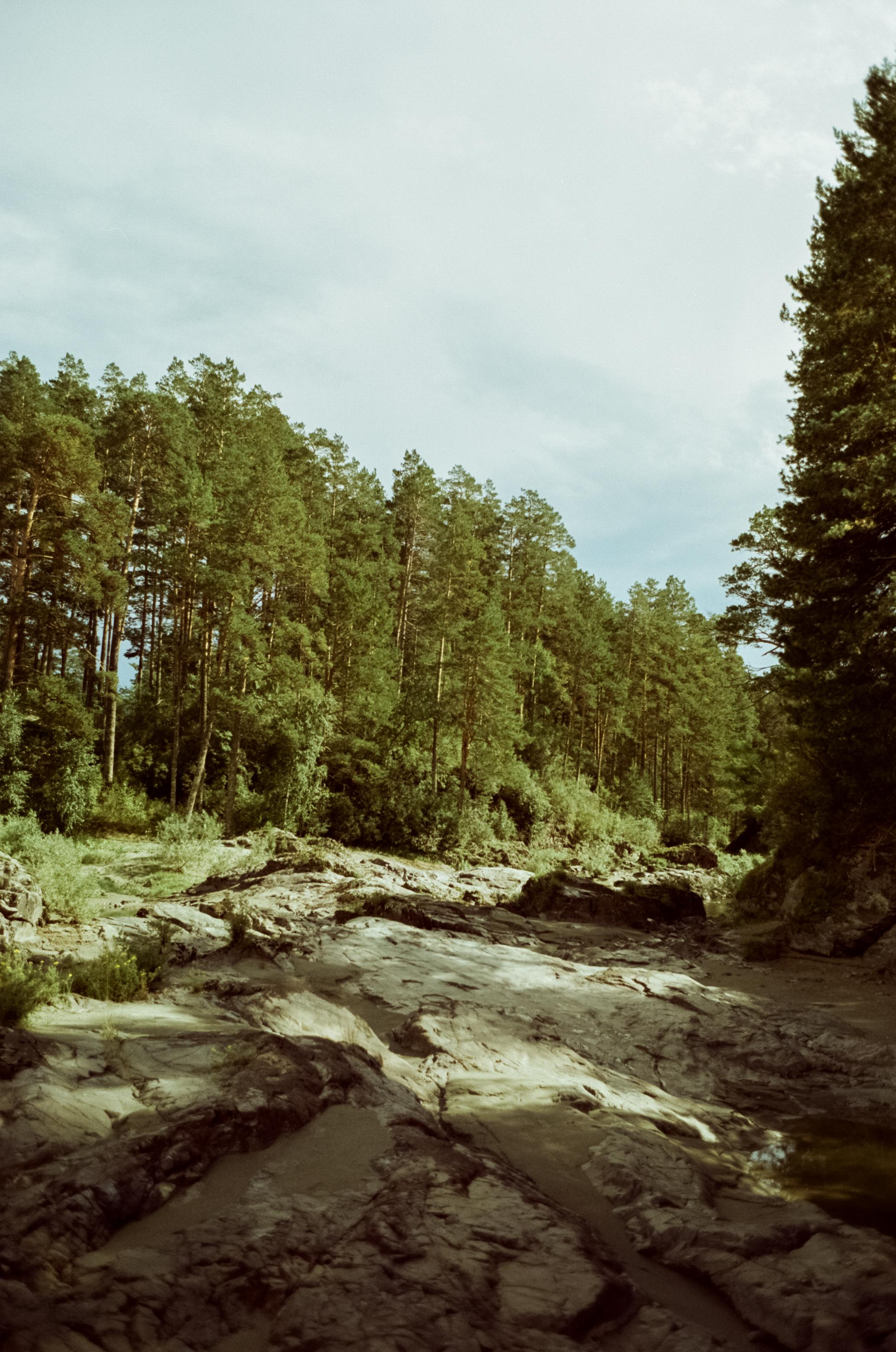 Самые красивые места Чемальского тракта на фотопленку