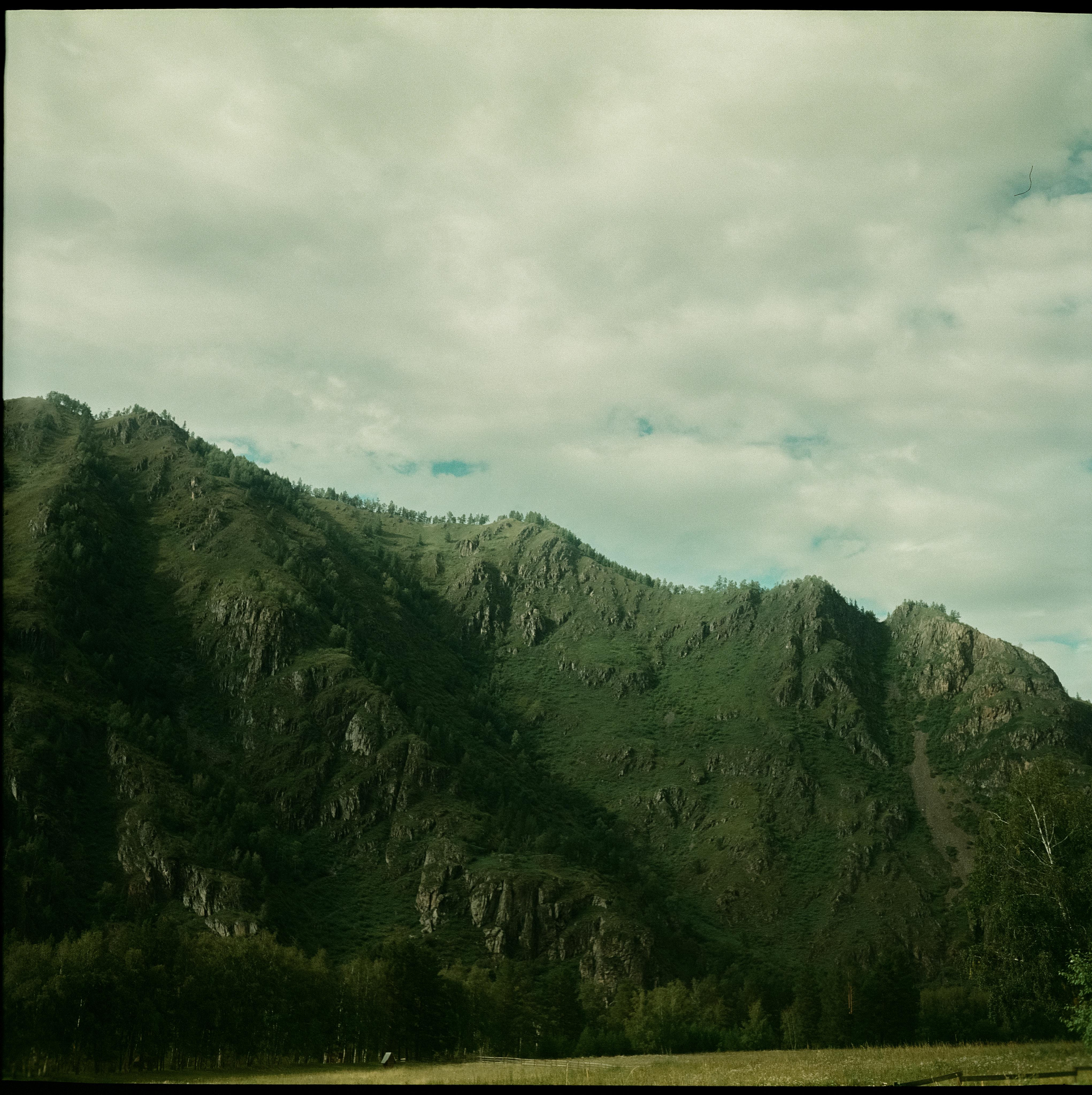 Чемальский тракт / Super Fujica-6 / Fujifilm NPL 160