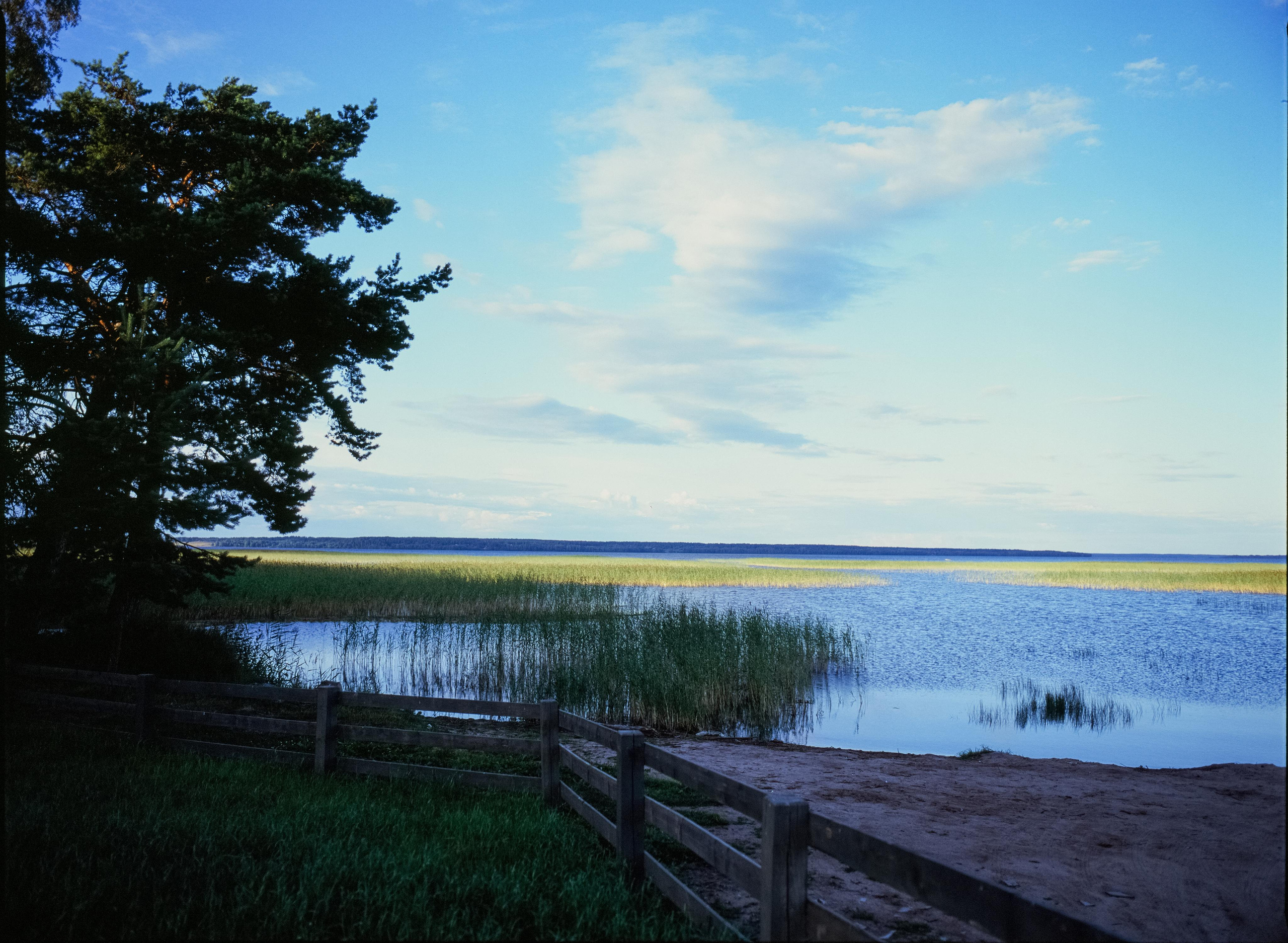 Карелия на Mamiya 645 PRO и слайд Fujifilm Velvia 100f