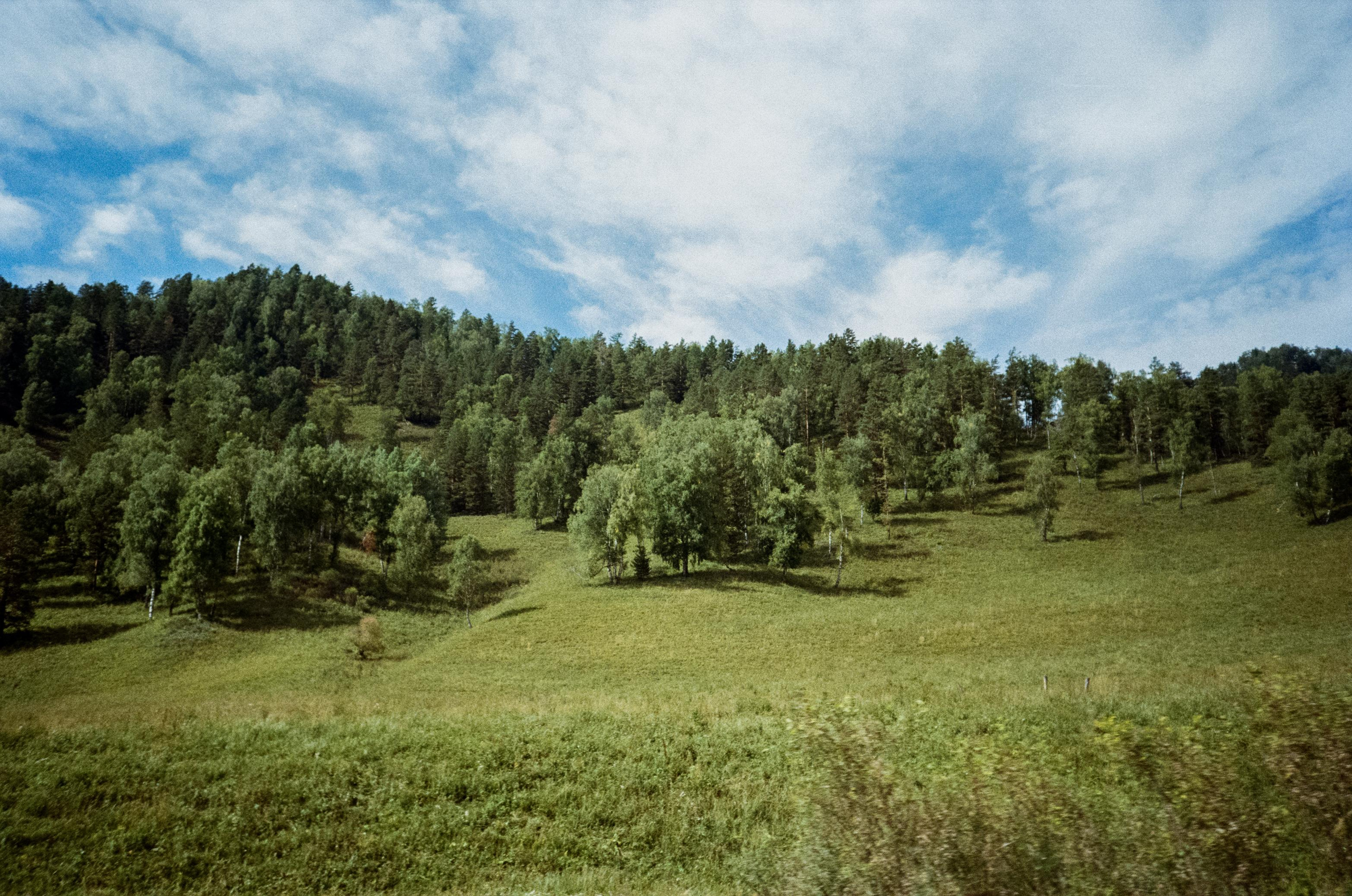 Kodak Gold 200 Алтай