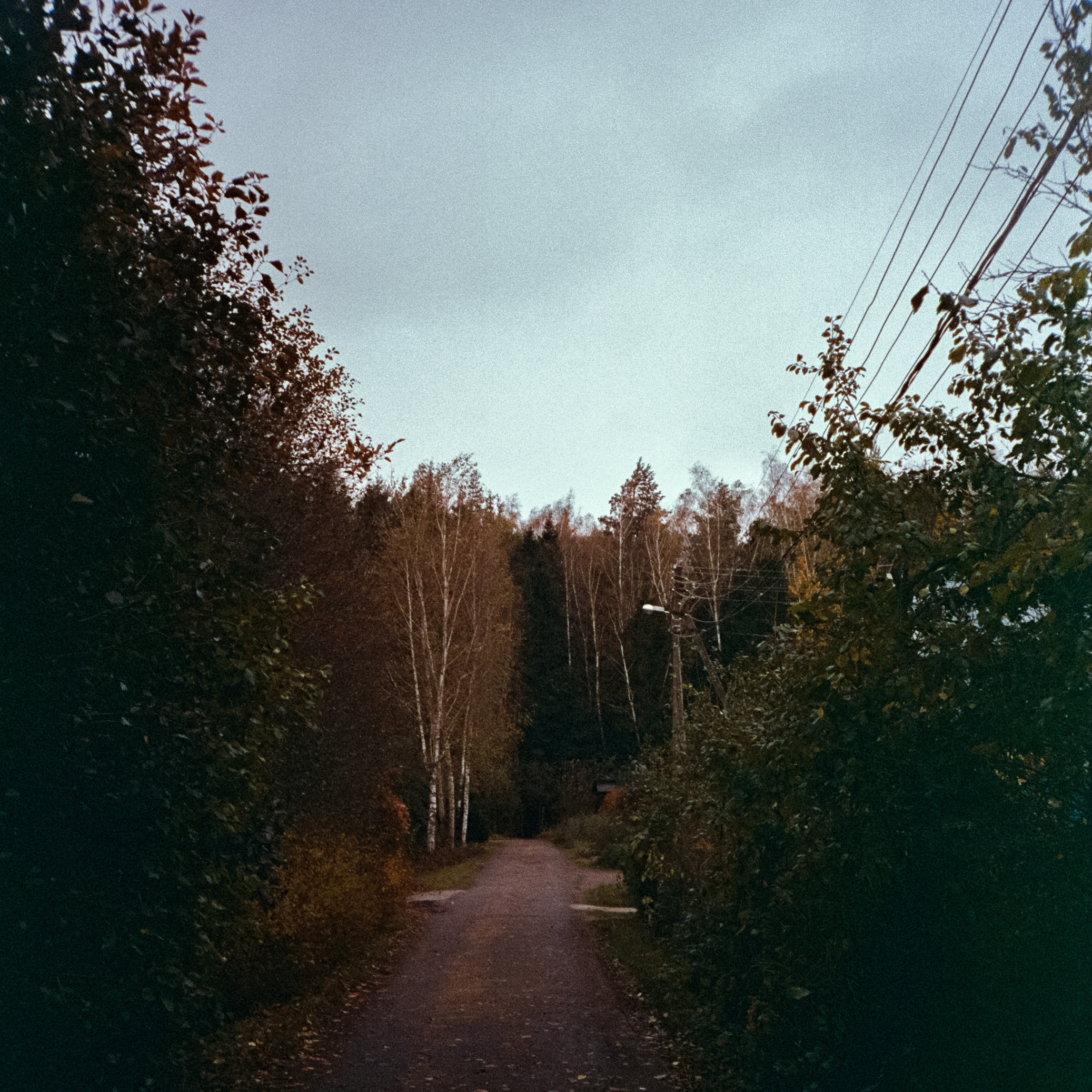 Fuji Work Record 28 мм / Konica Centuria Super 400 / Давыдовское