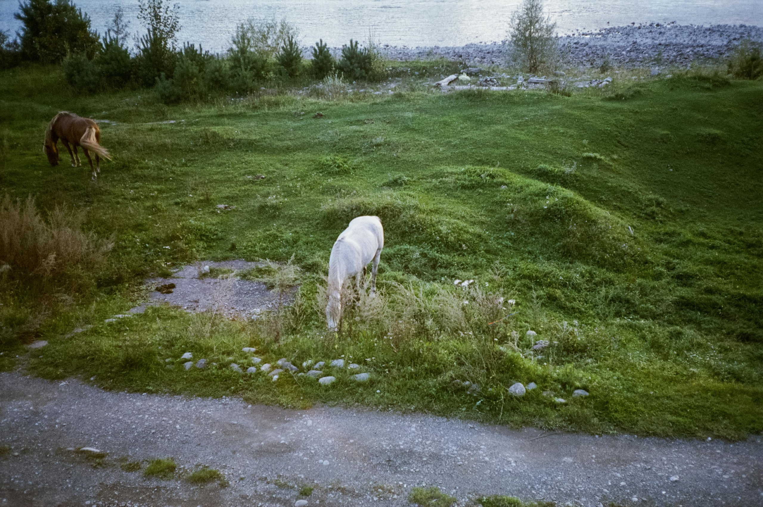 Закаты и восходы на базе Бережок / Fuji Eterna 500T / Revue 35CC