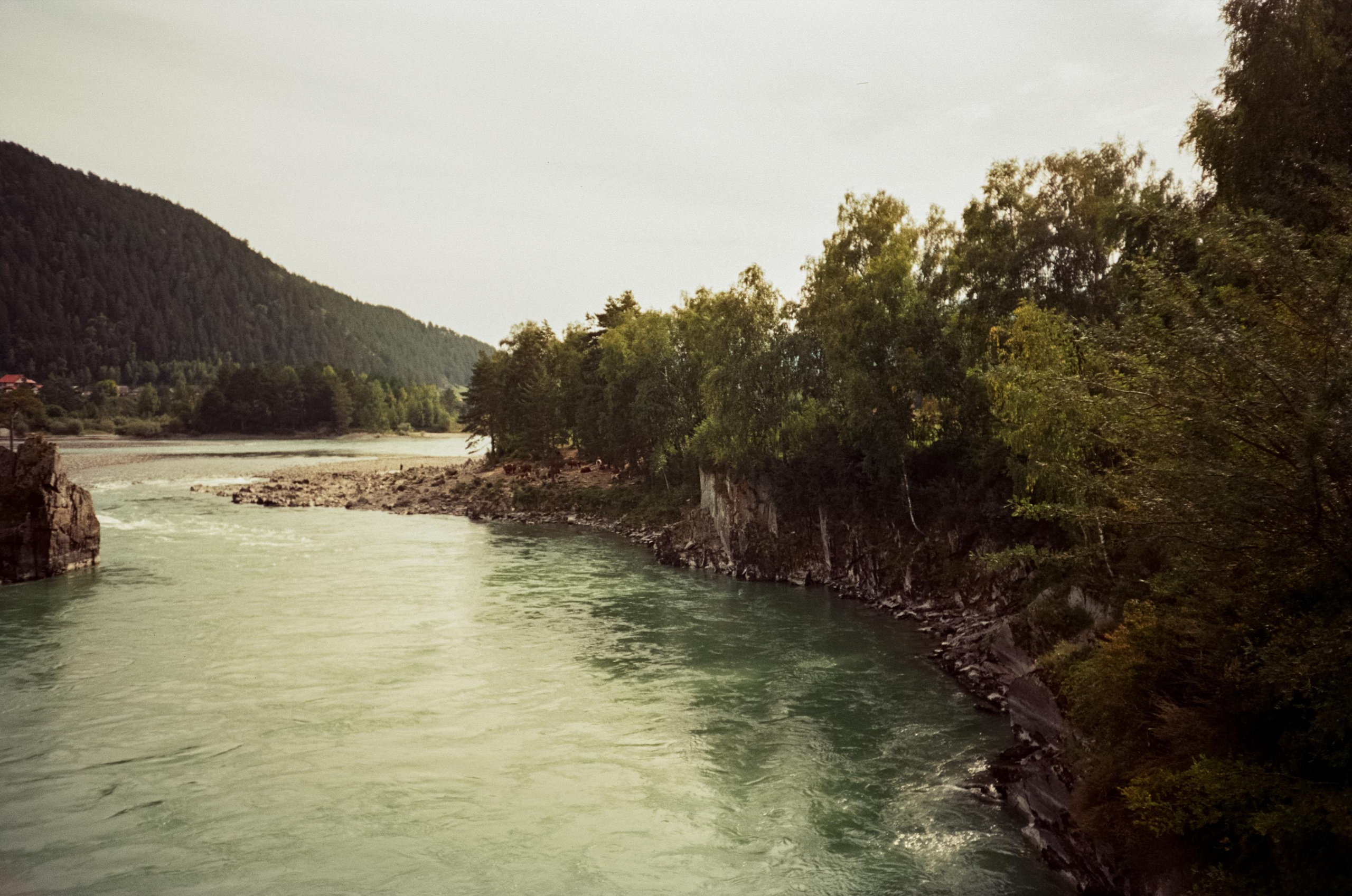 Отпуск на Алтае, Манжерок, р. Катунь в сентябре 2023 года