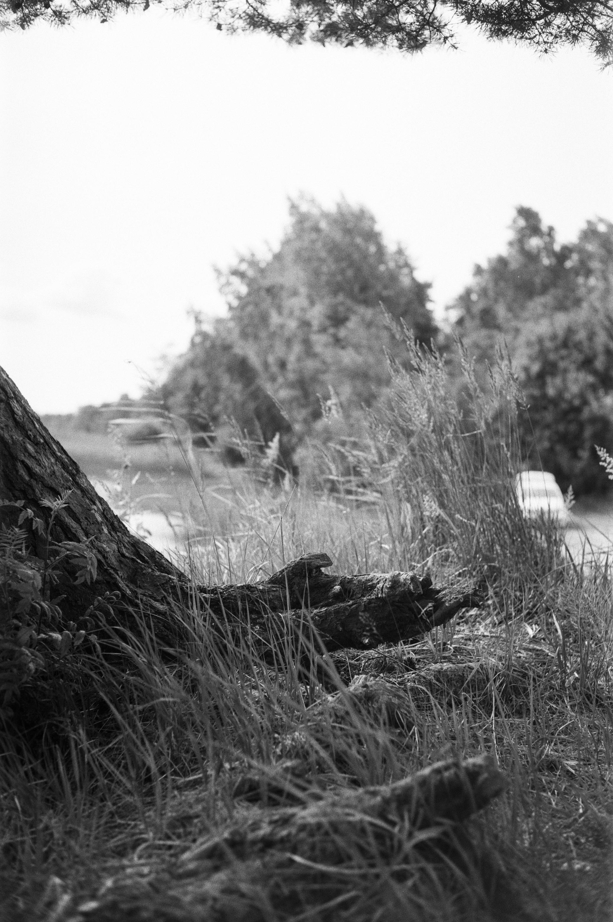 Фотосессия у Дубль дома у озера Отрадное (Приозерск)