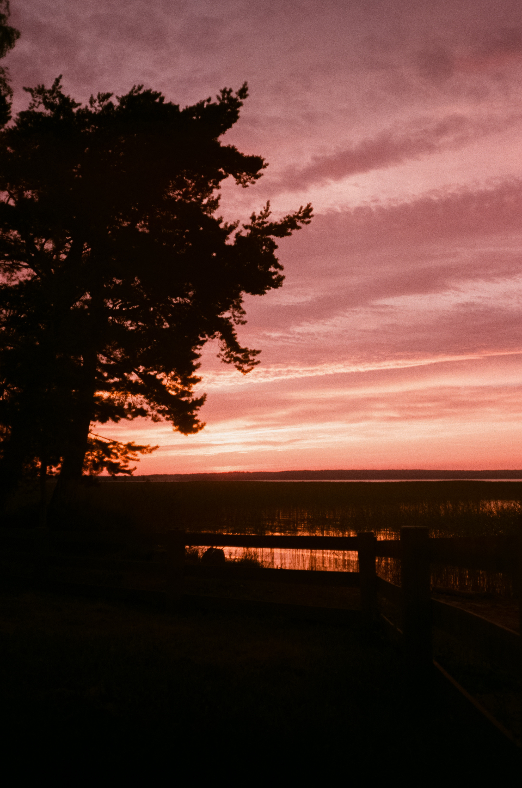 Снимаем восходы на просроченную пленку Konica Centuria 400