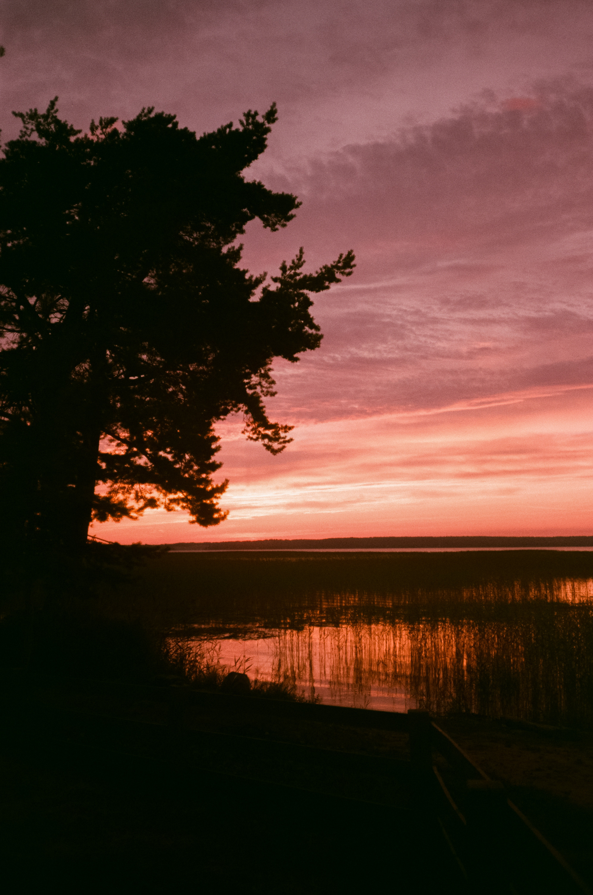 Снимаем восходы на просроченную пленку Konica Centuria 400
