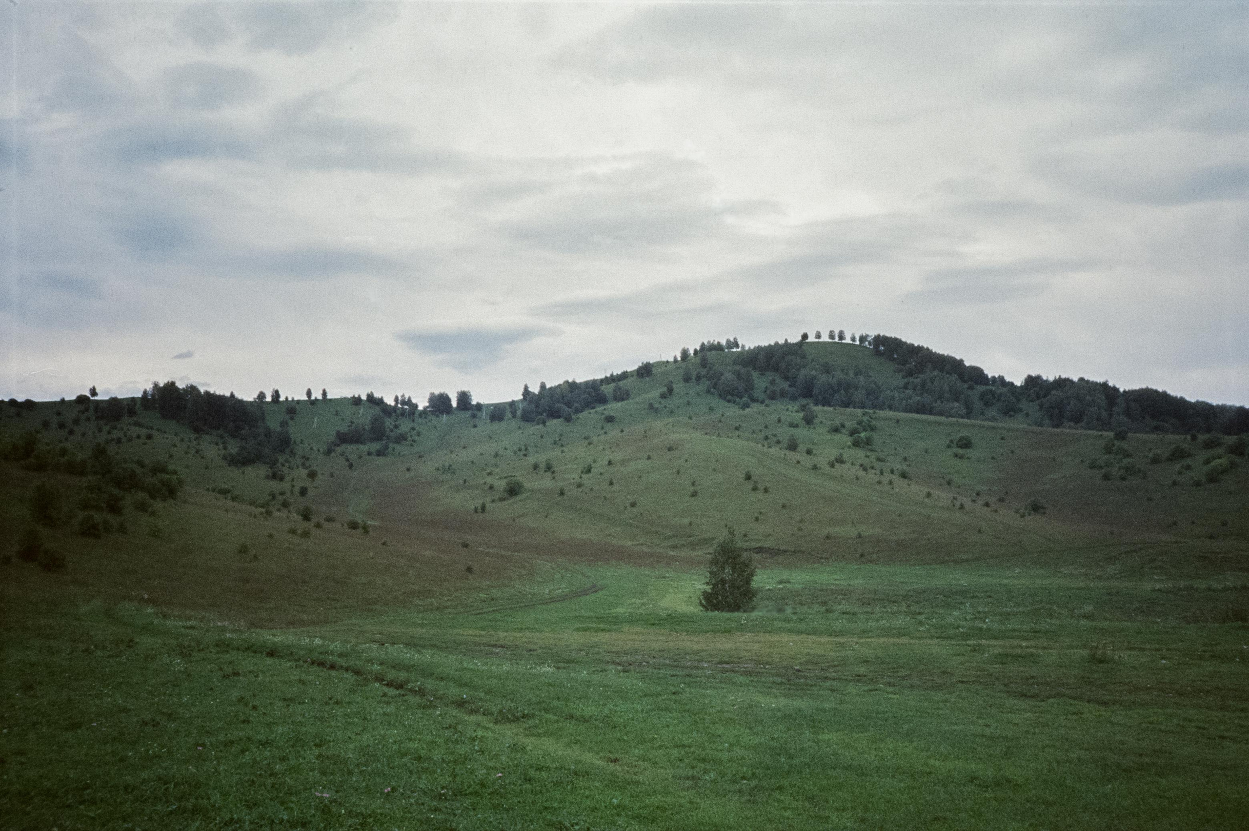 SFL 500T примеры фотографий