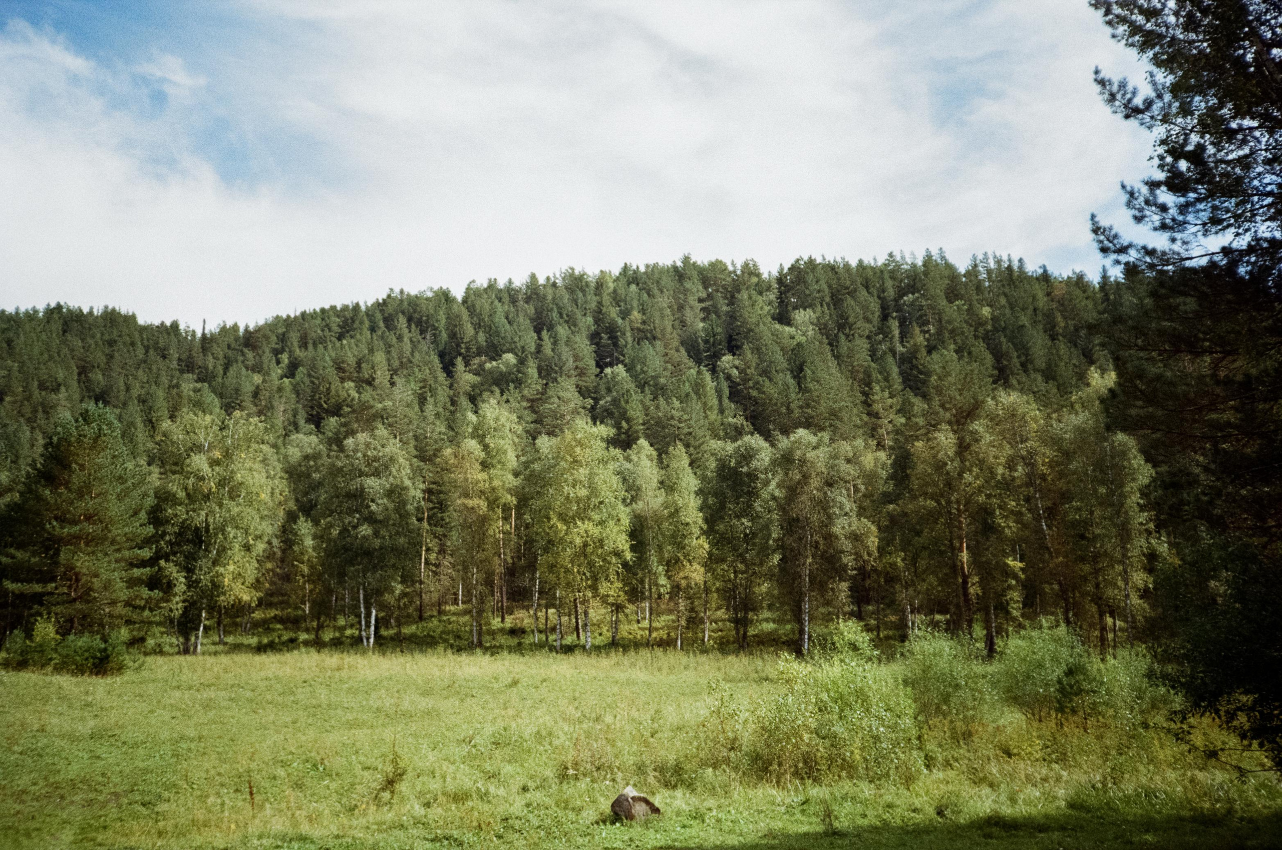 Самые красивые места Алтая