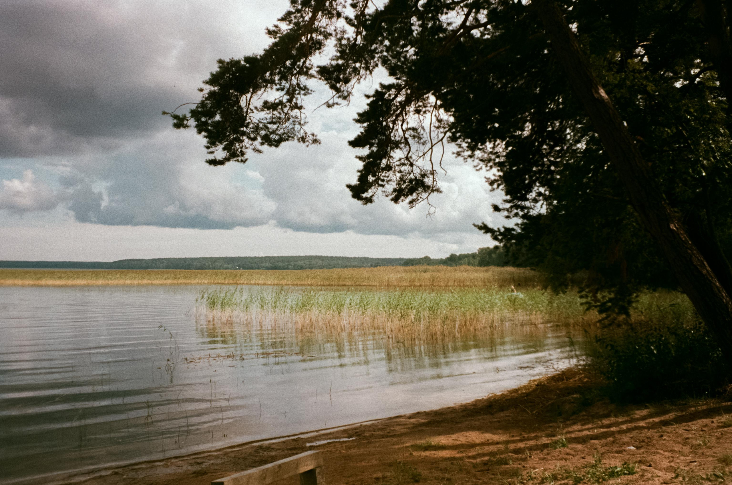 Озеро Отрадное, снятое на просроченную пленку