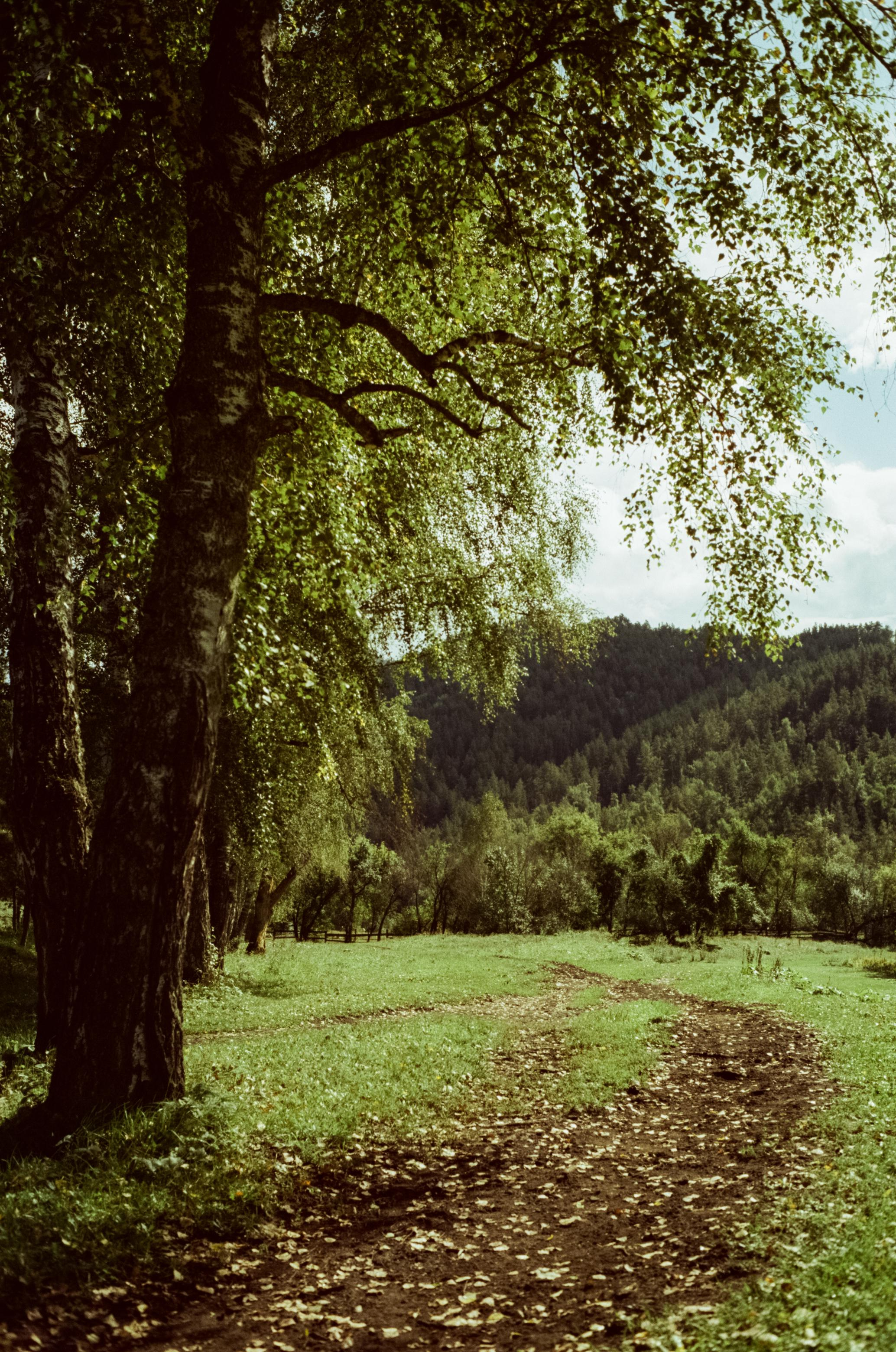 Самые красивые места Чемальского тракта на фотопленку