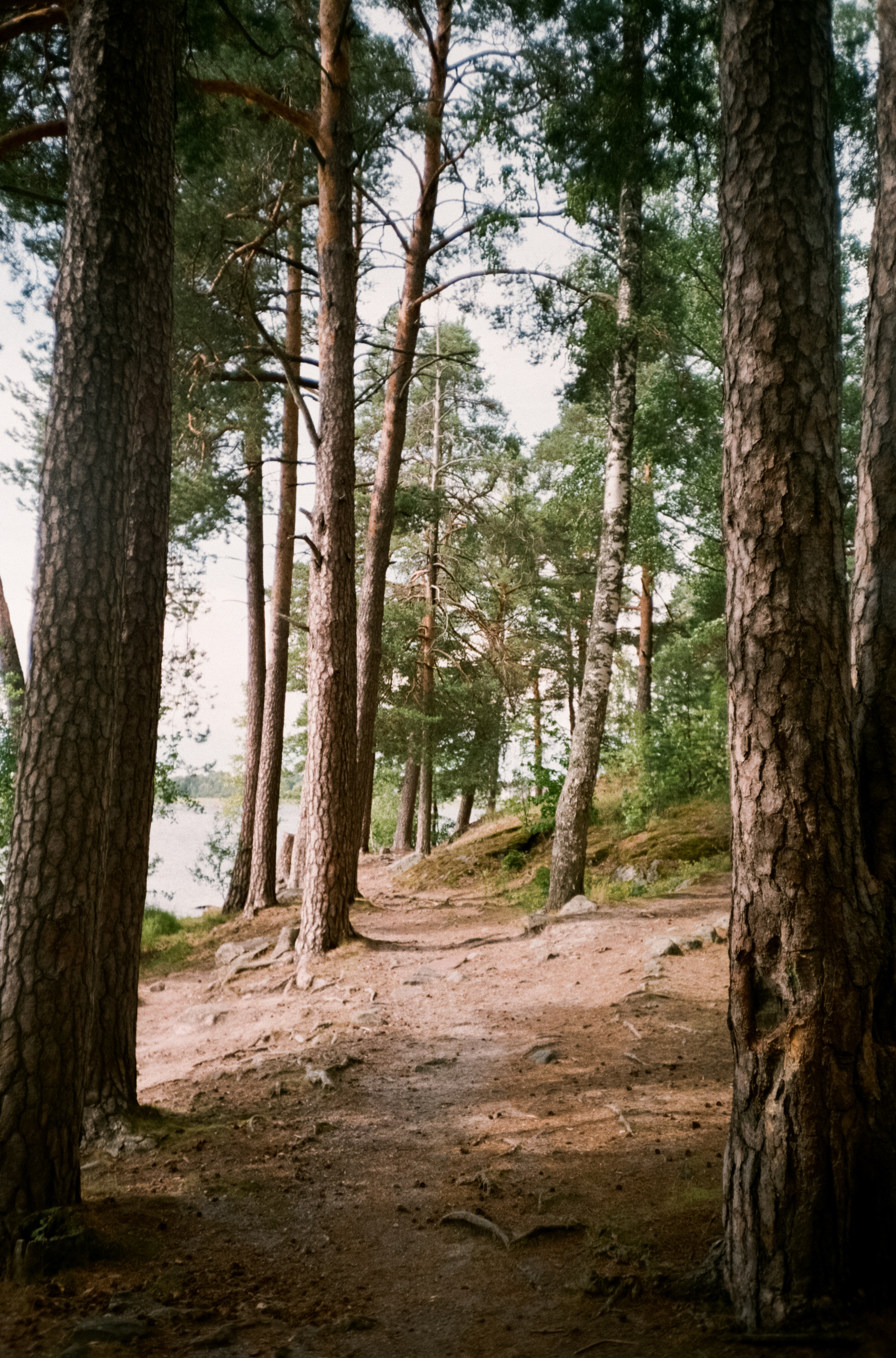 Остров Валаам и остров Каменистый на Cinestill 400D