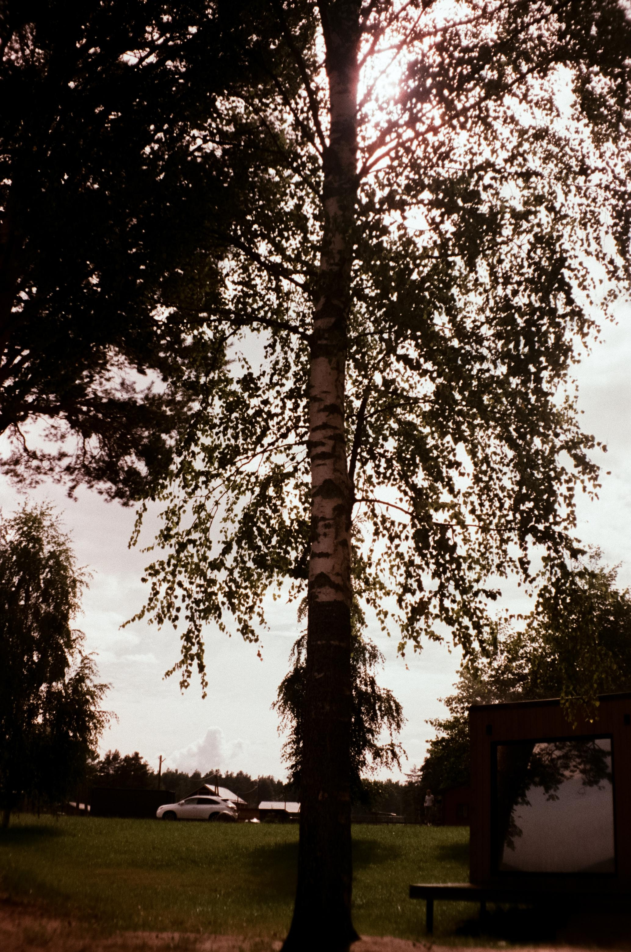 Озеро Отрадное, снятое на просроченную пленку