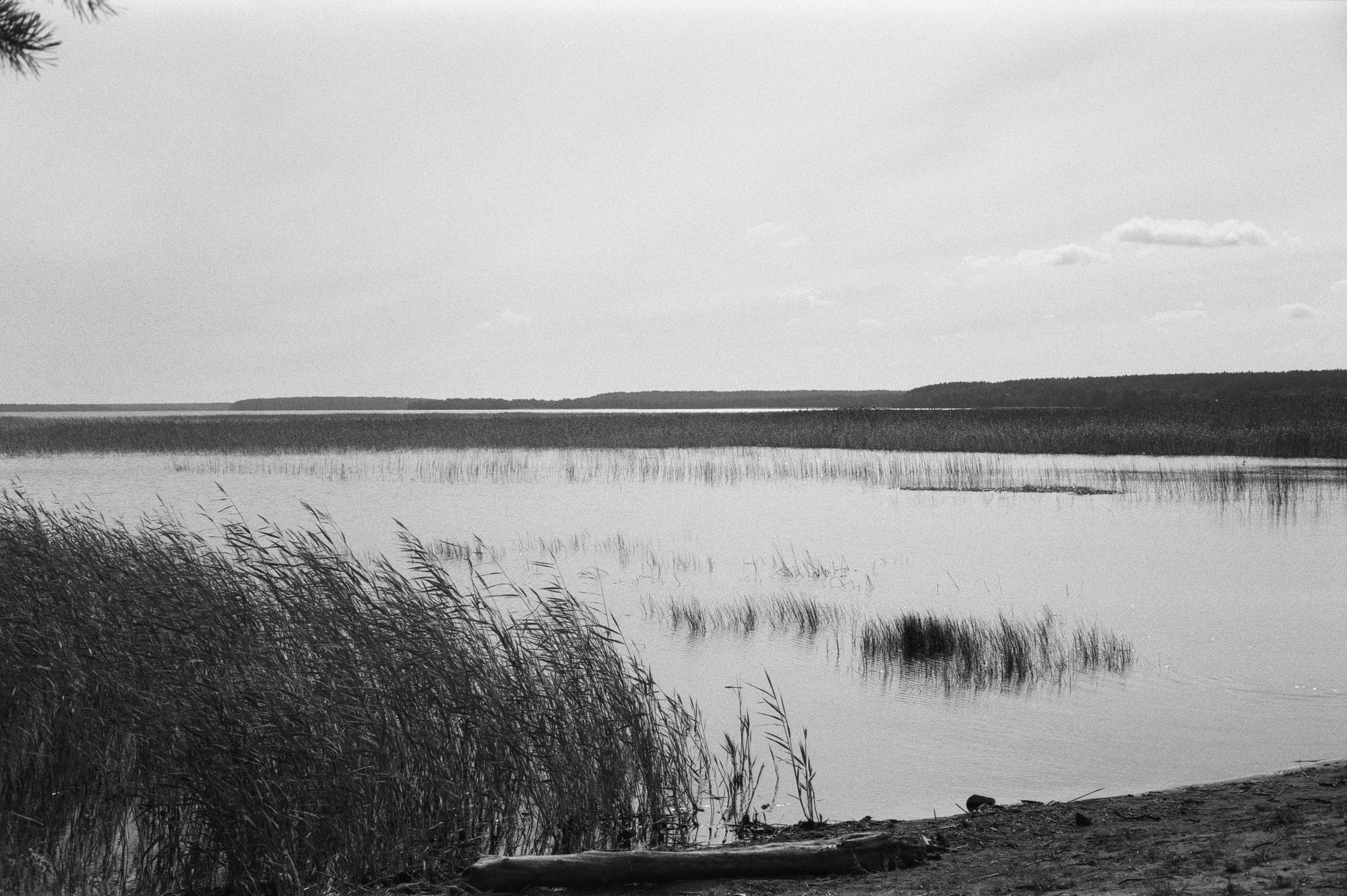 Фотосессия у Дубль дома у озера Отрадное (Приозерск)