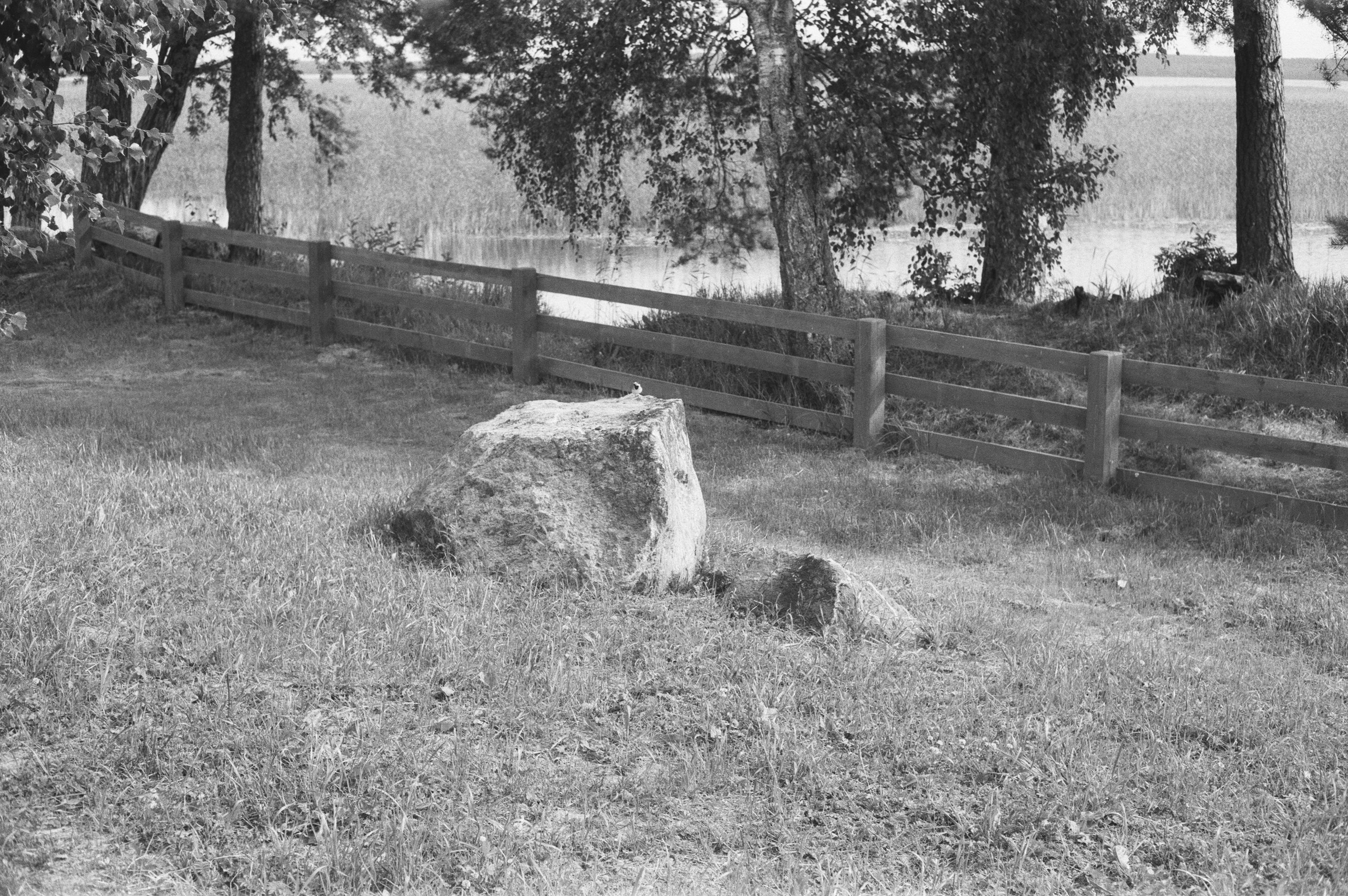 Фотосессия у Дубль дома у озера Отрадное (Приозерск)