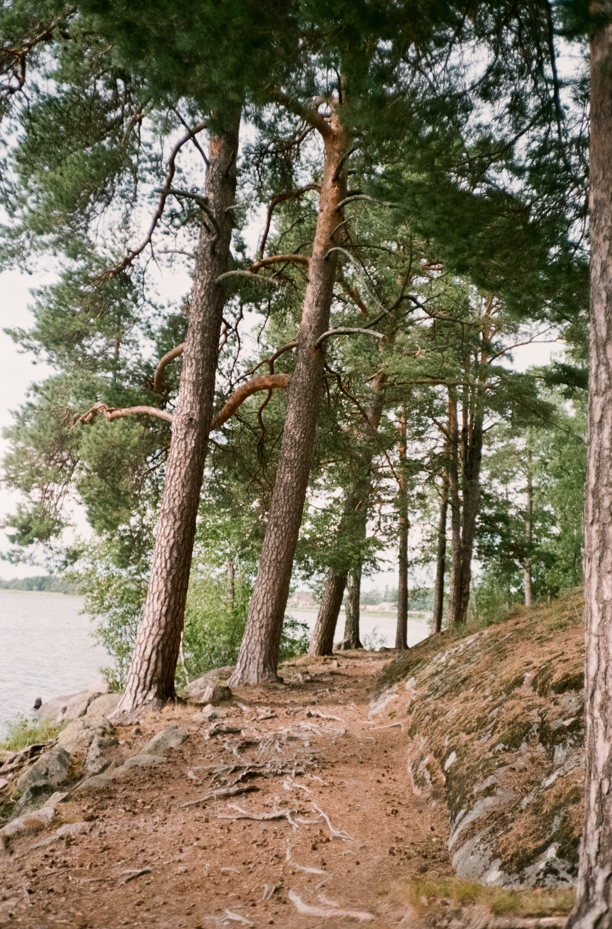 Остров Валаам и остров Каменистый на Cinestill 400D