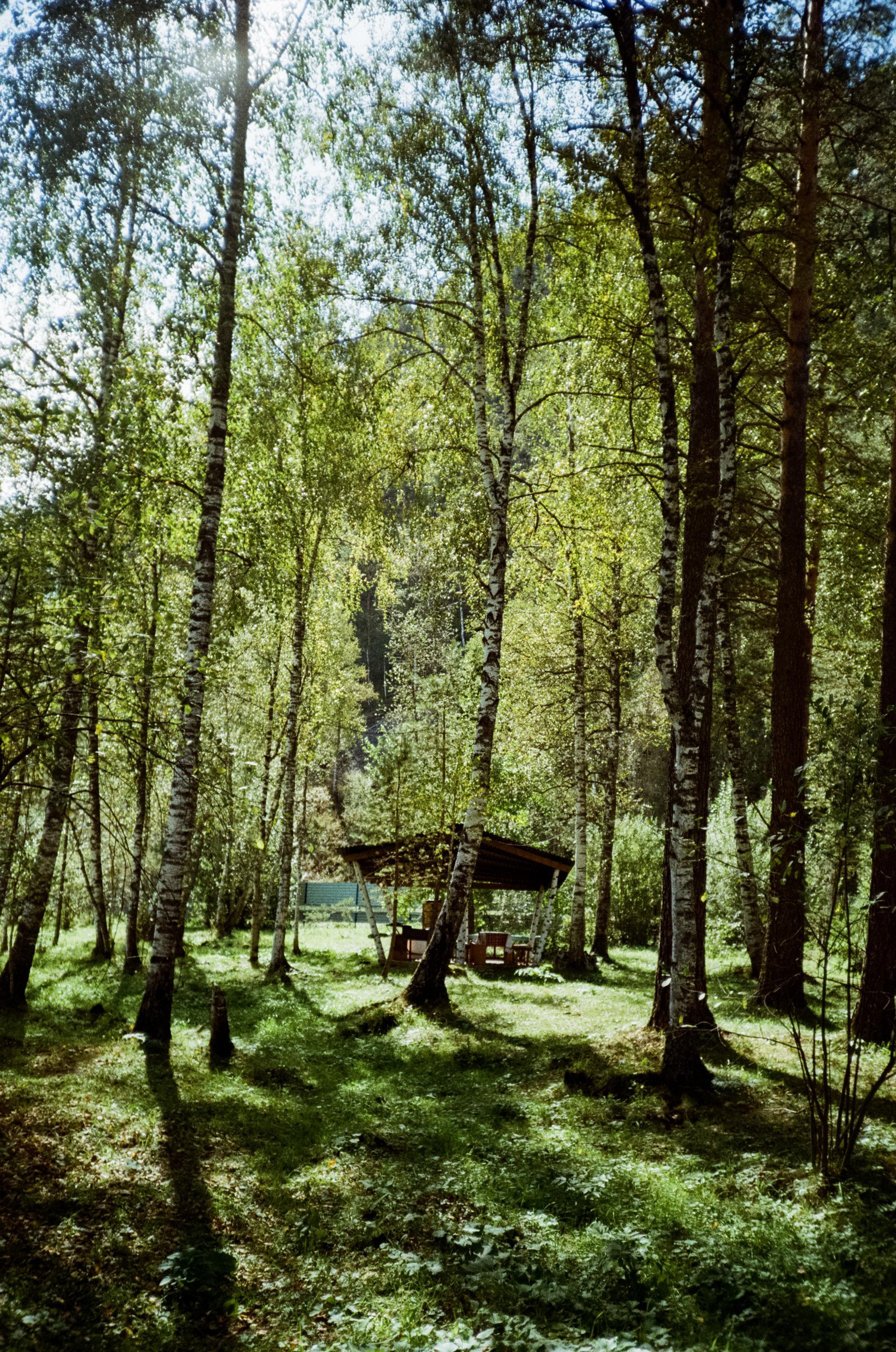 Примеры фотографий Алтай на фотопленку