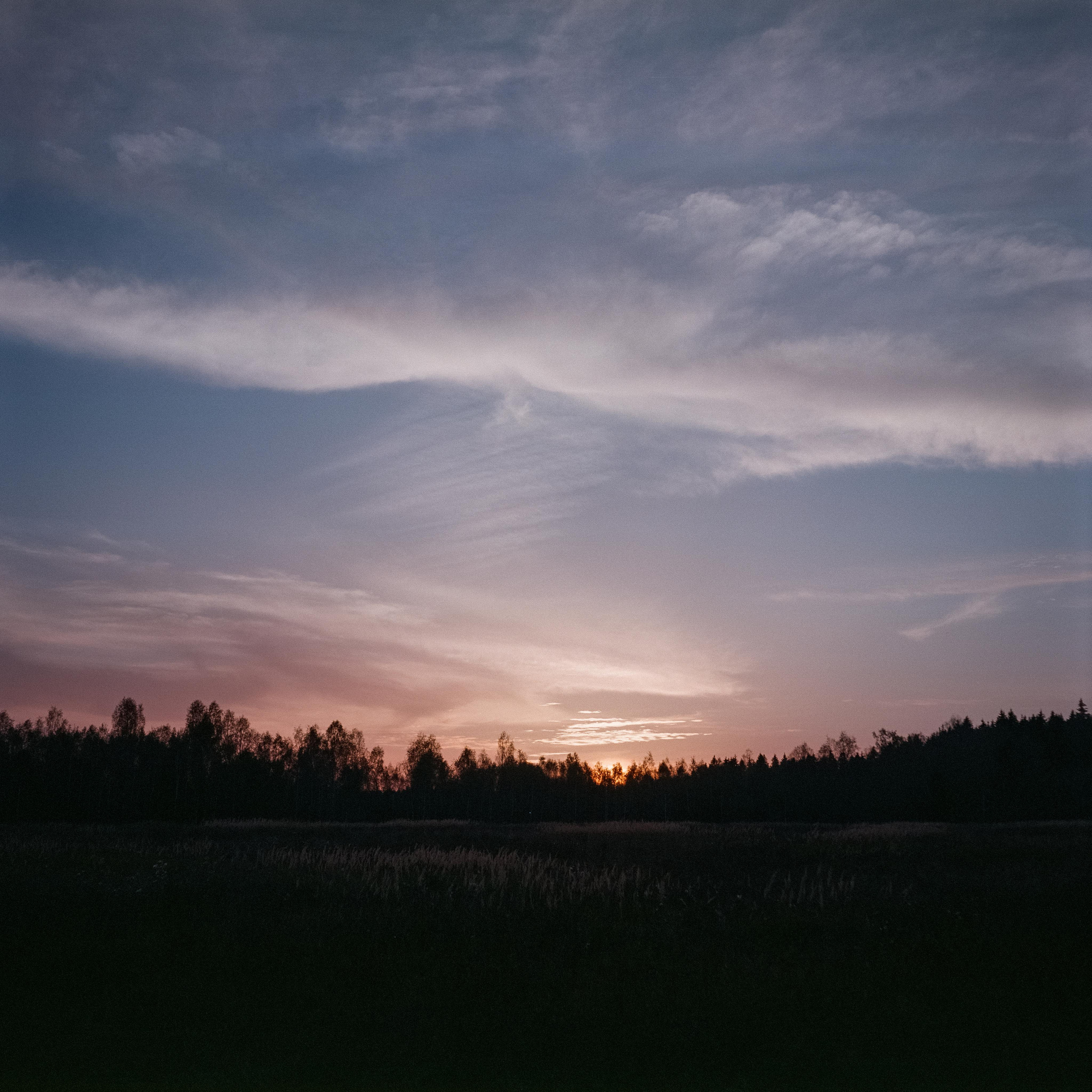 Проверка нового Super Fujica-6 с пленкой Fujifilm NPL 160