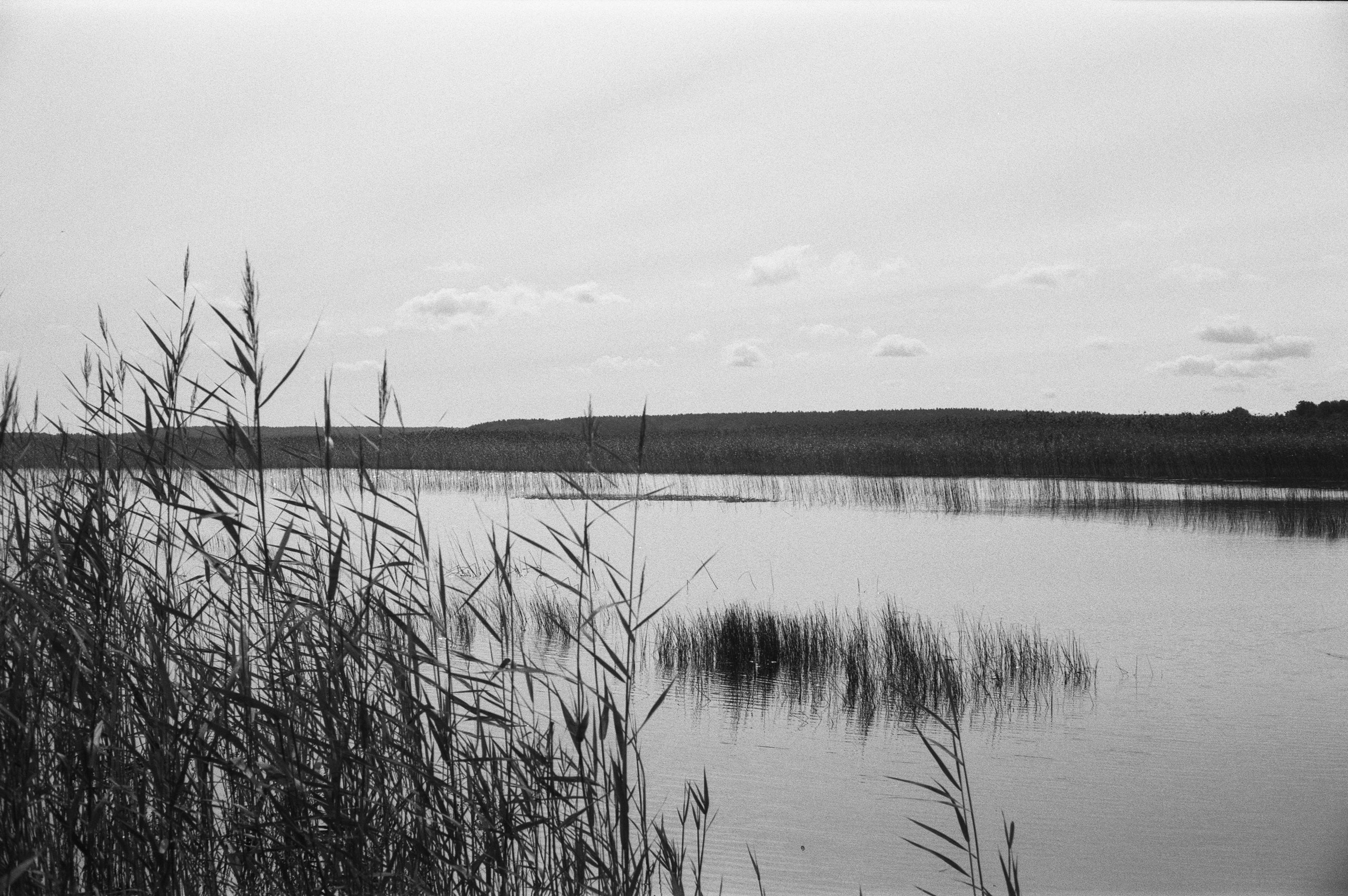 Фотосессия у Дубль дома у озера Отрадное (Приозерск)