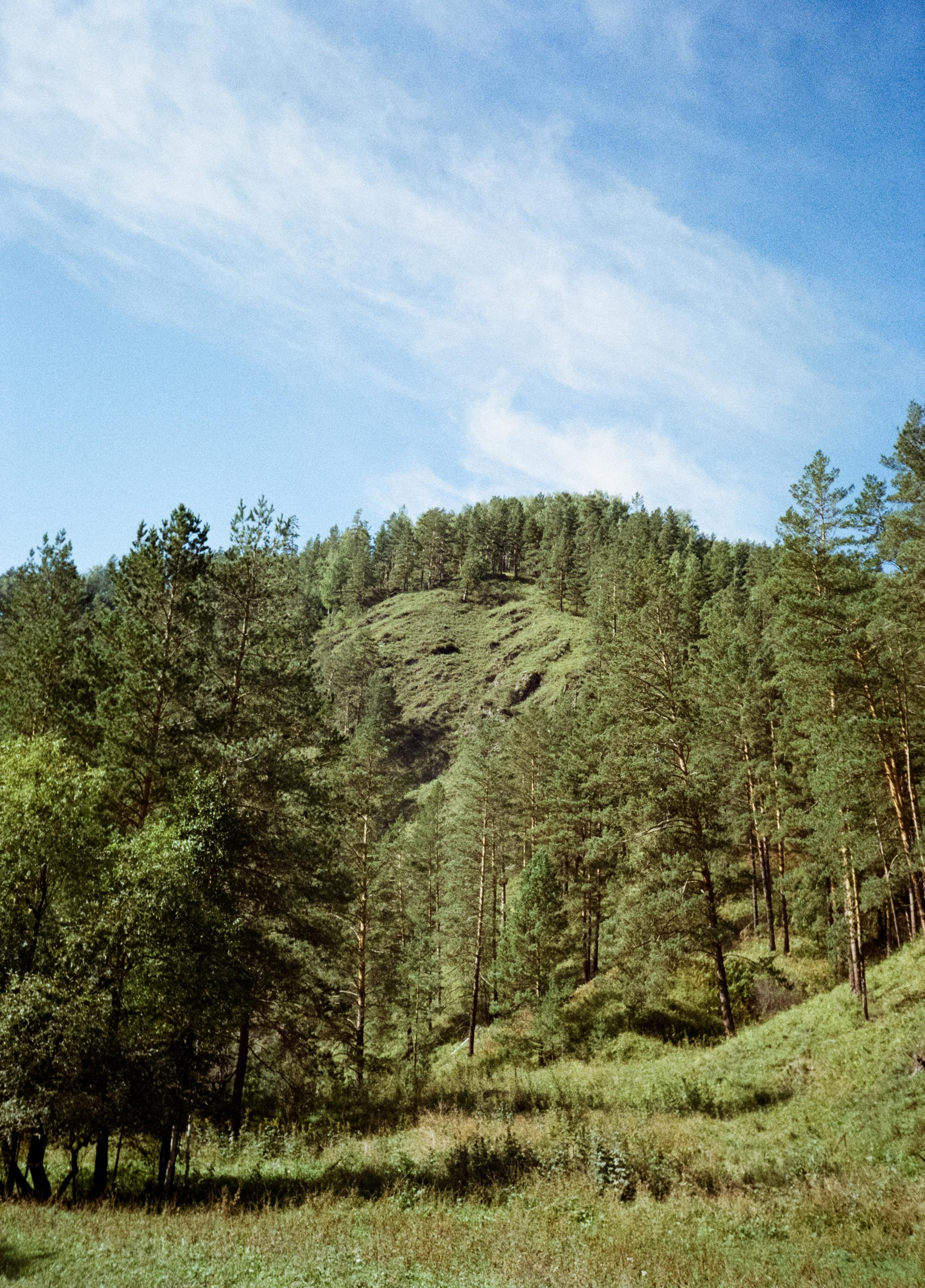 Примеры фотографий Алтай на фотопленку