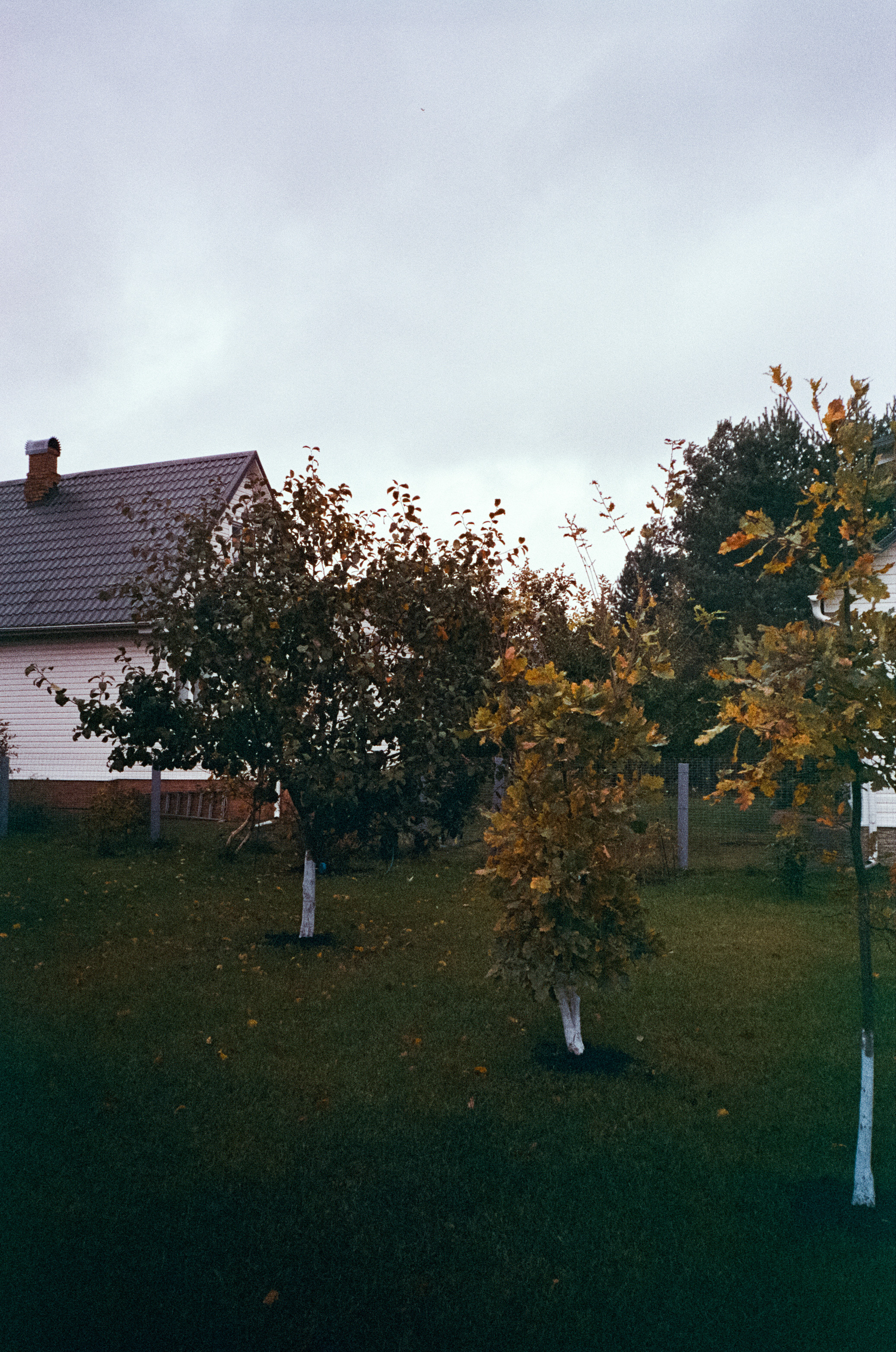 Fuji Work Record 28 мм / Konica Centuria Super 400 / Давыдовское