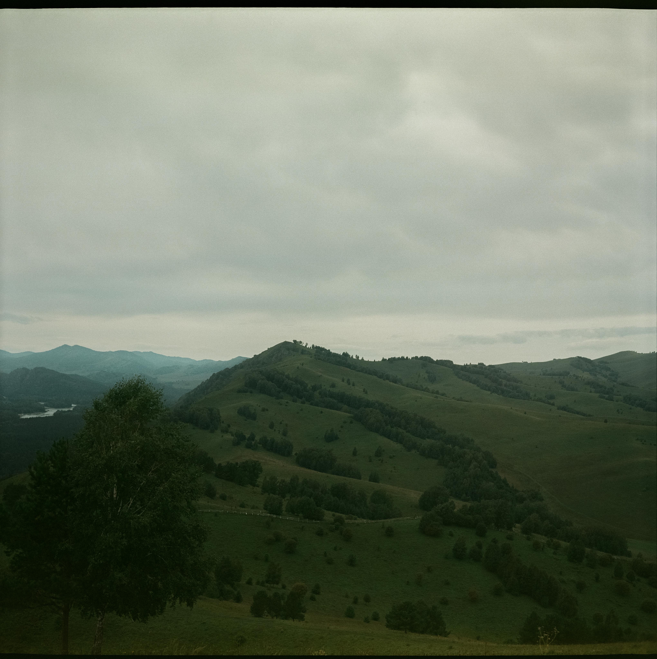 Чемальский тракт / Super Fujica-6 / Fujifilm NPL 160