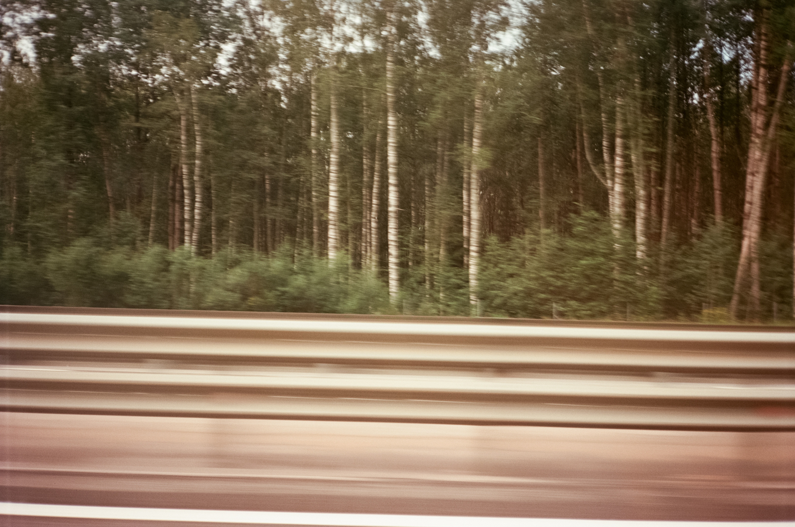 Дорога в Питер по трассе М-11 «Нева»