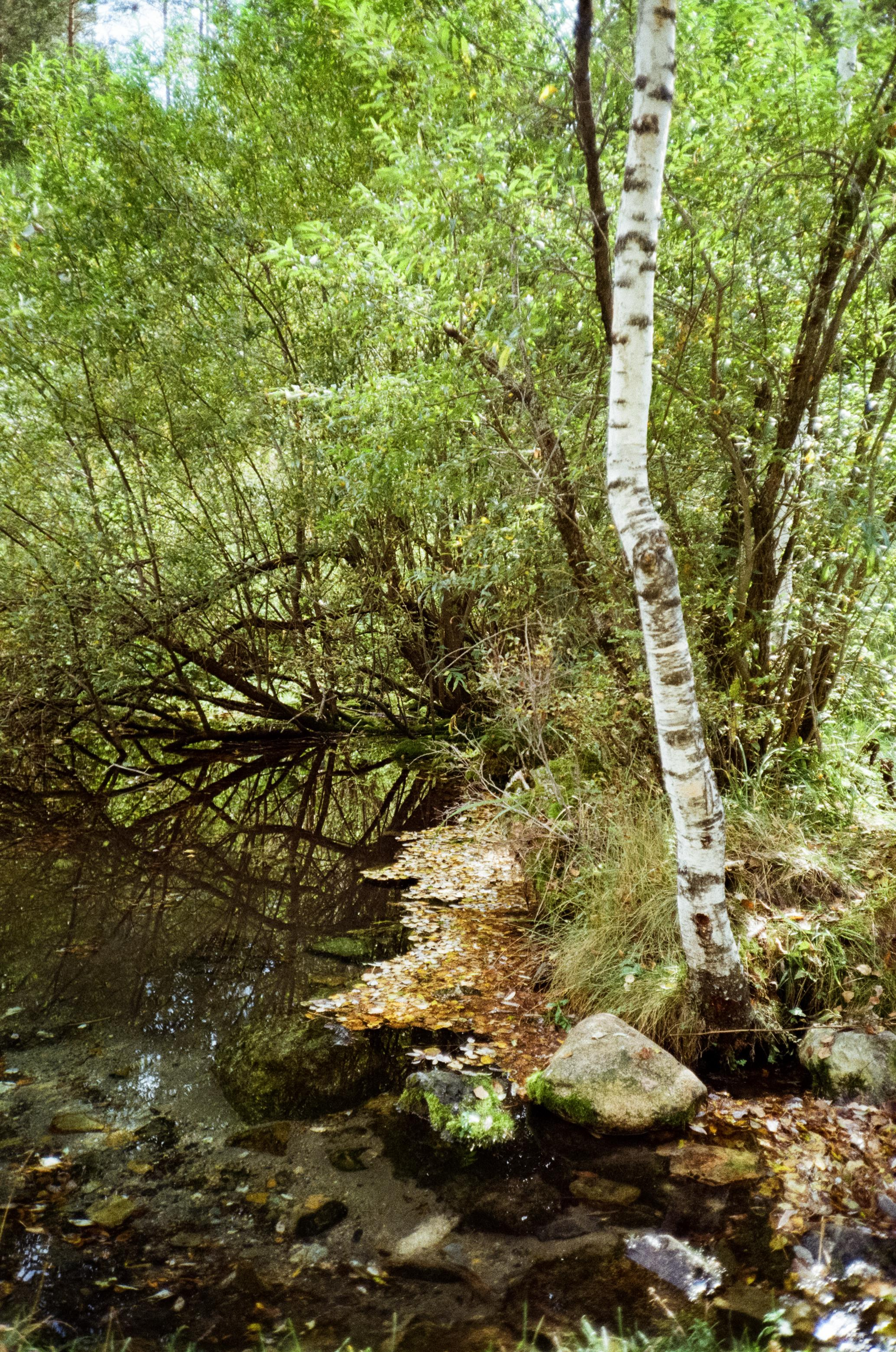 Алтай на фотопленку