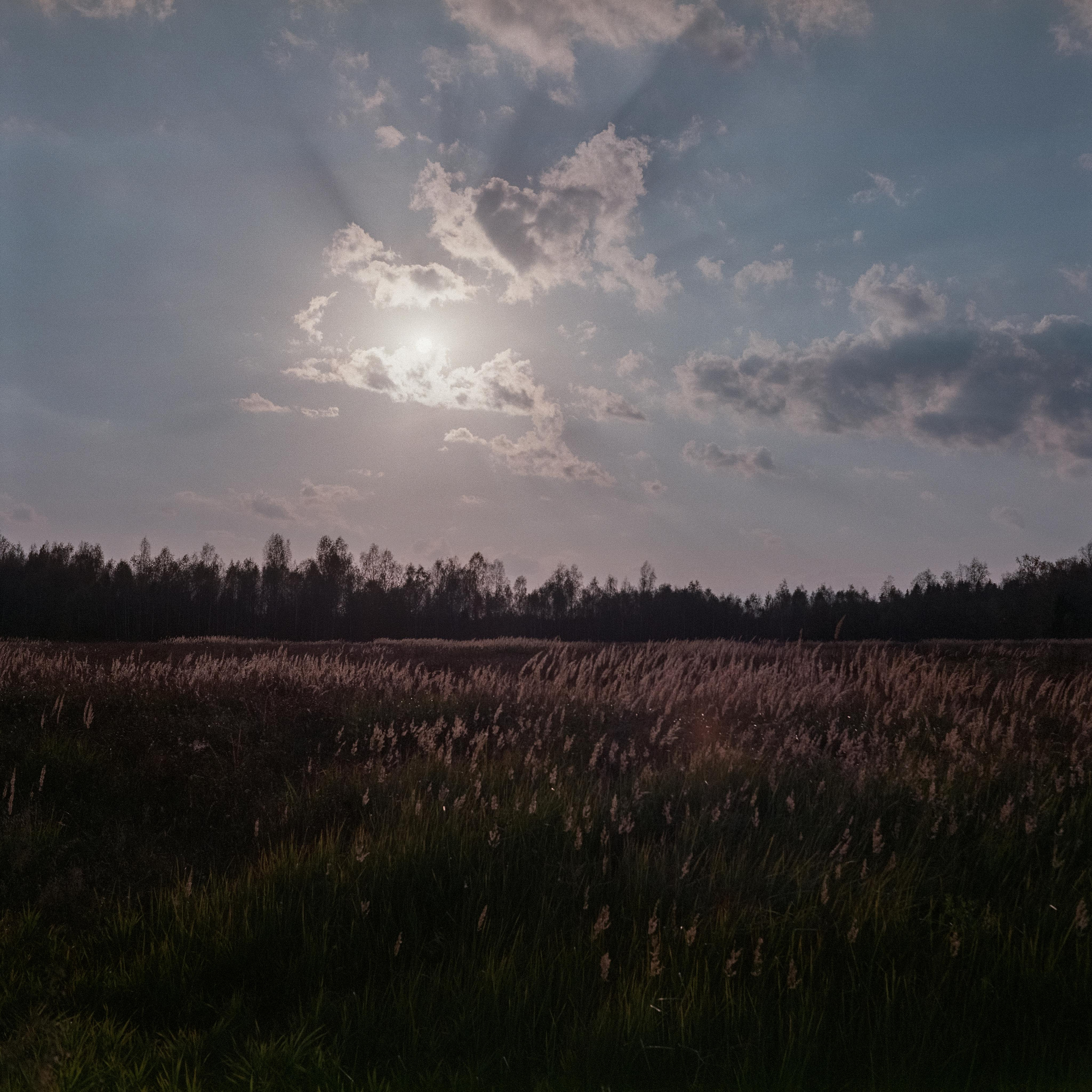 Проверка нового Super Fujica-6 с пленкой Fujifilm NPL 160