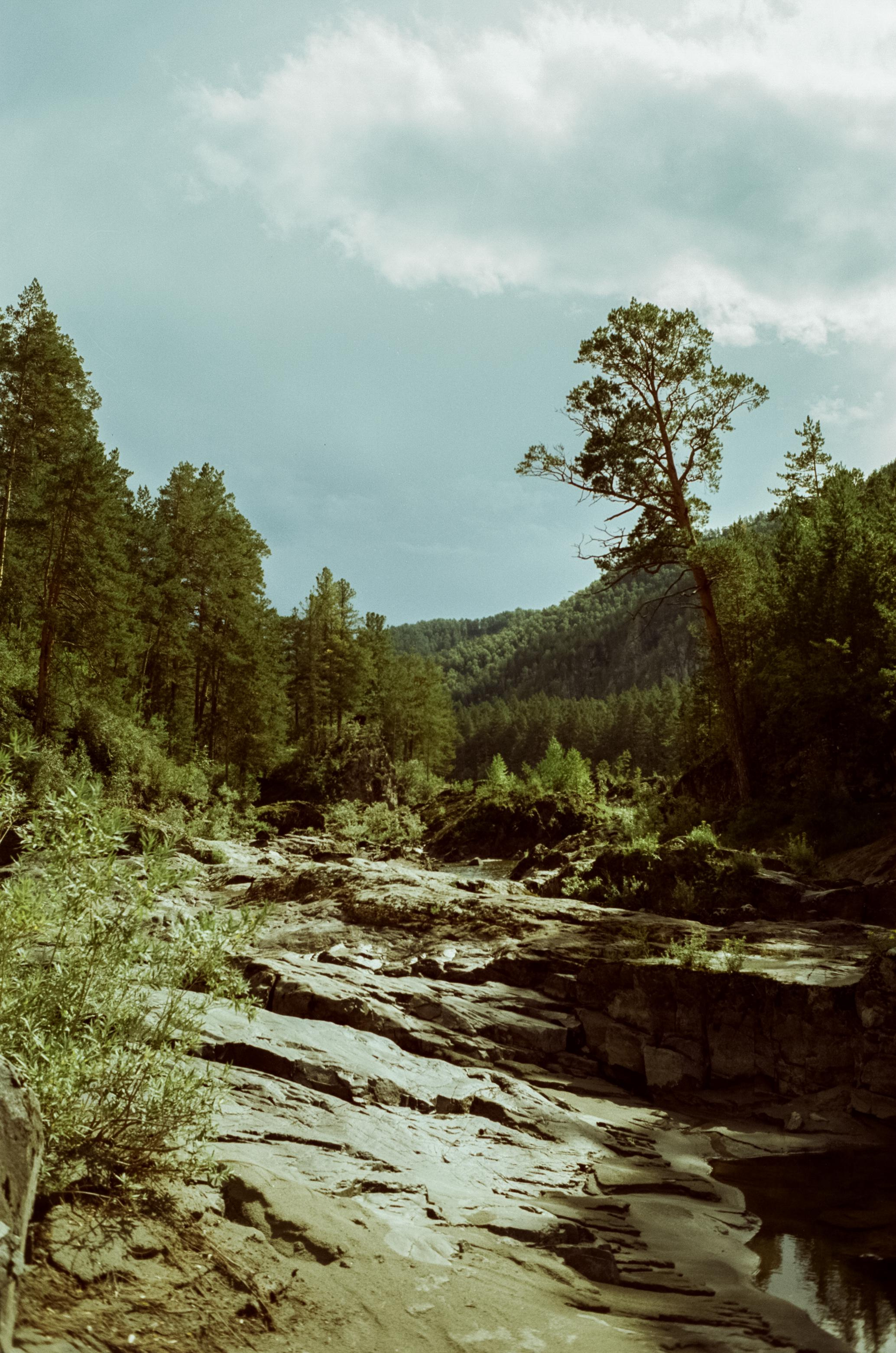 Самые красивые места Чемальского тракта на фотопленку