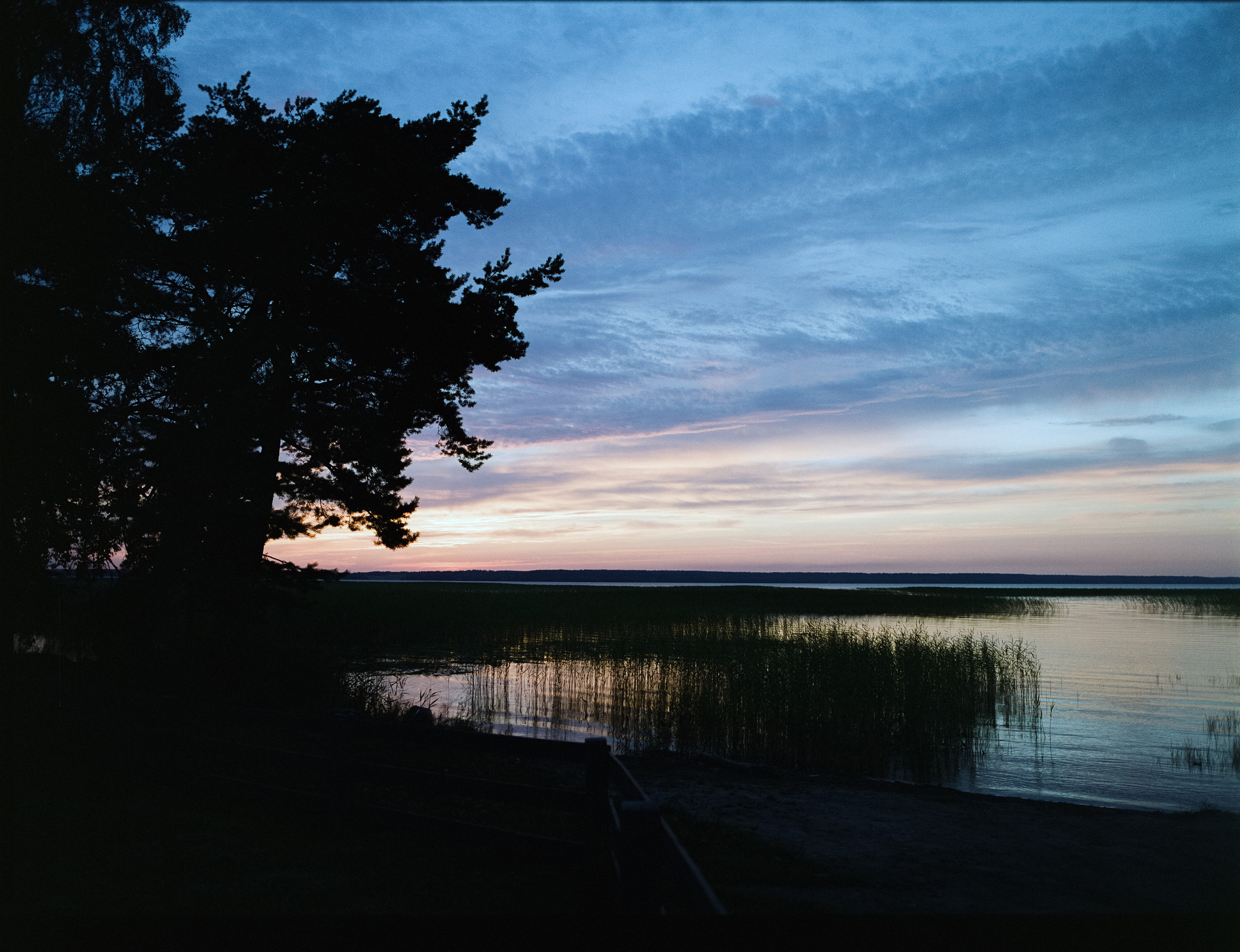 Mamiya 645 PRO, объектив: Mamiya-Sekor C 45 mm f/2.8 N