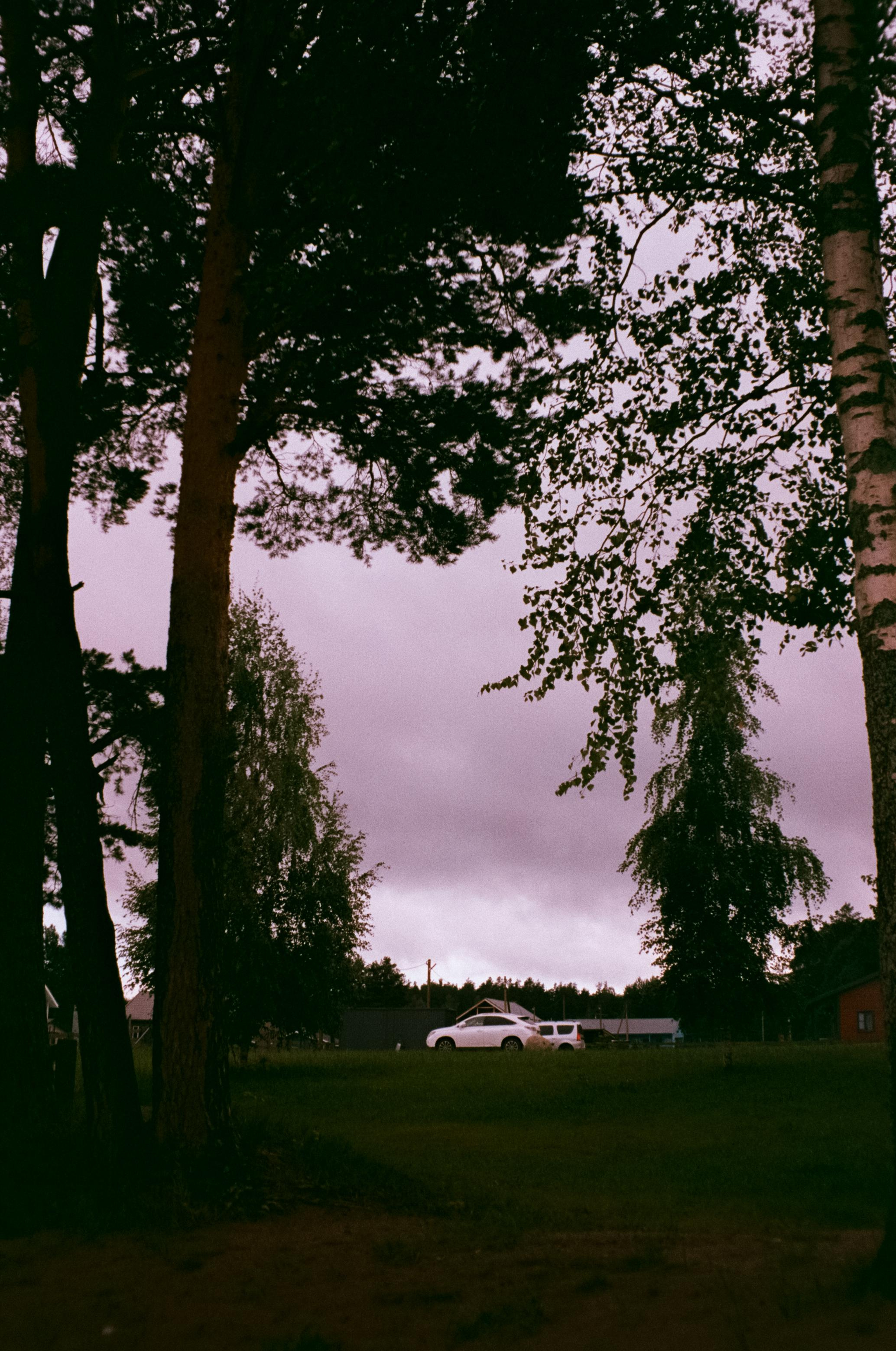 Озеро Отрадное, снятое на просроченную пленку