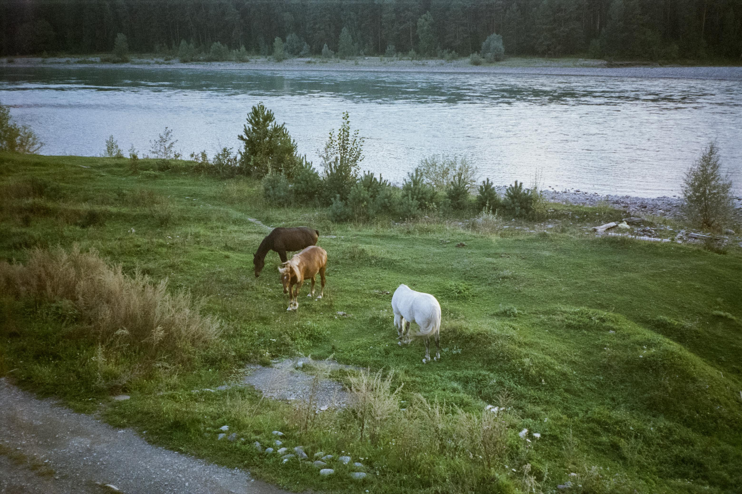 Закаты и восходы на базе Бережок / Fuji Eterna 500T / Revue 35CC