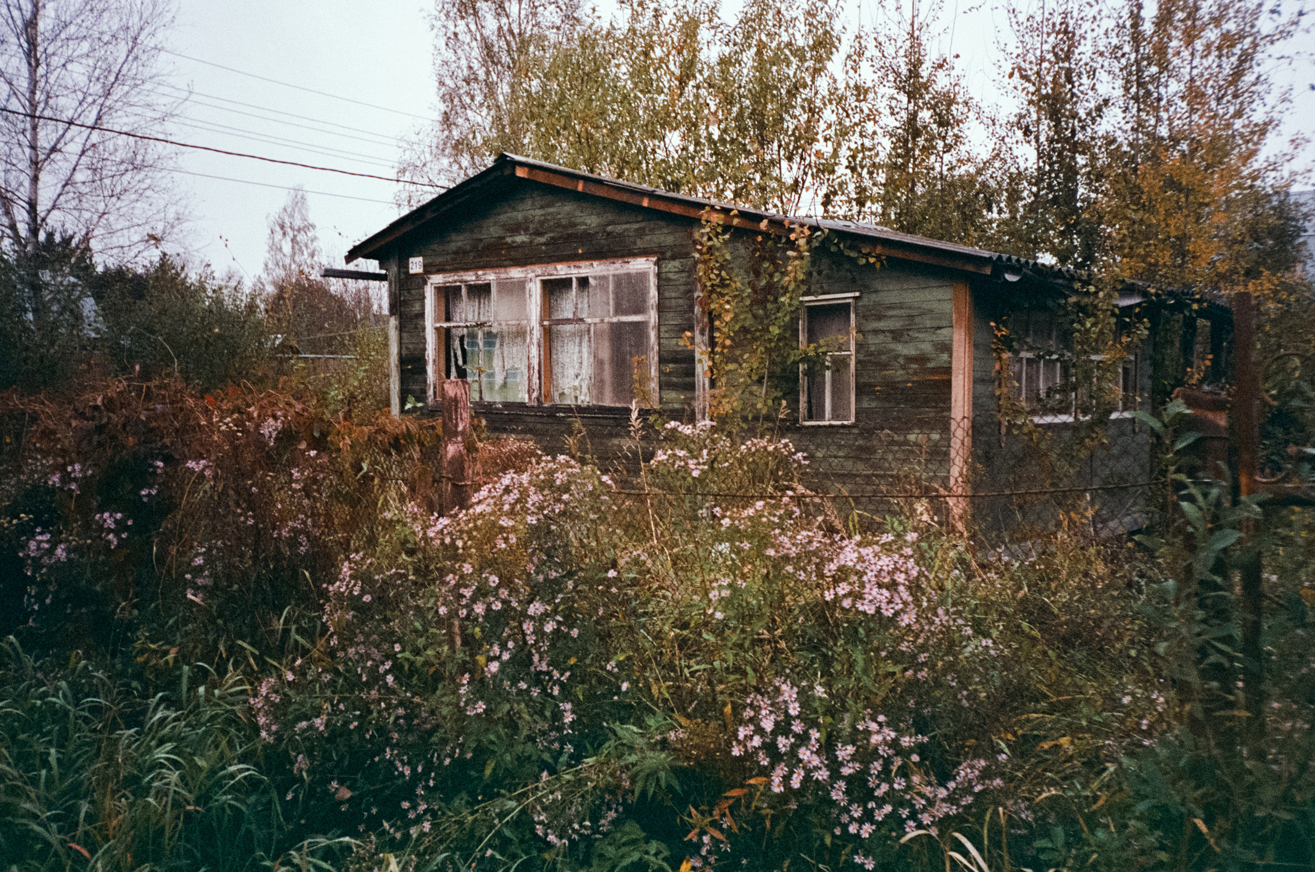 Fuji Work Record 28 мм / Konica Centuria Super 400 / Давыдовское