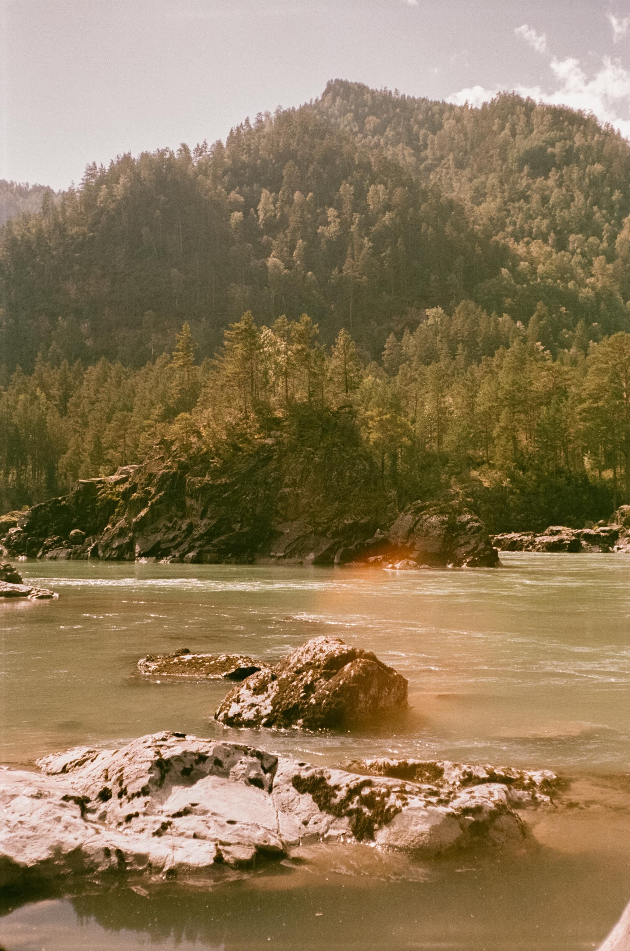 Кедровый Остров, река Катунь, база Бережок