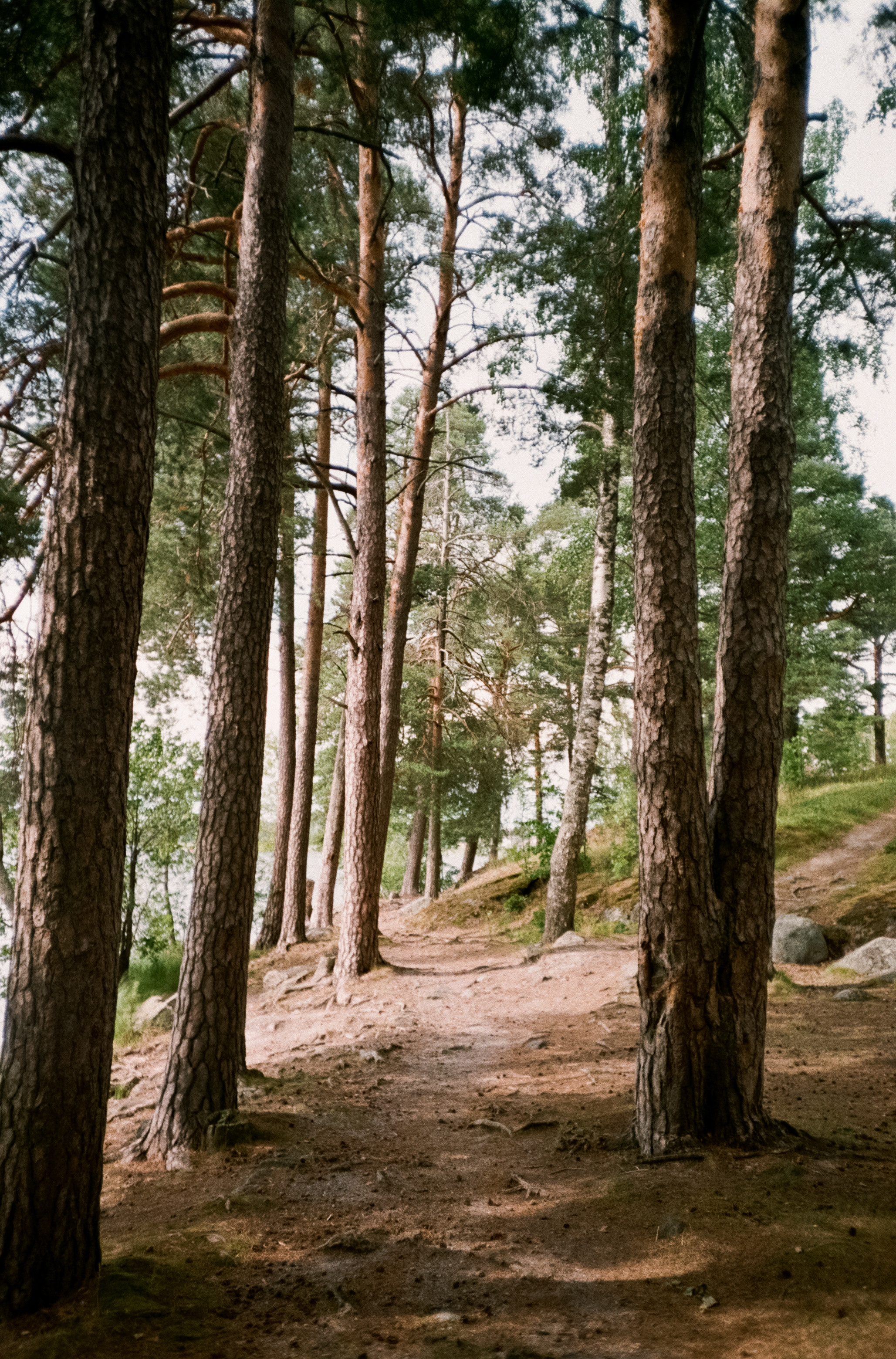 Остров Валаам и остров Каменистый на Cinestill 400D