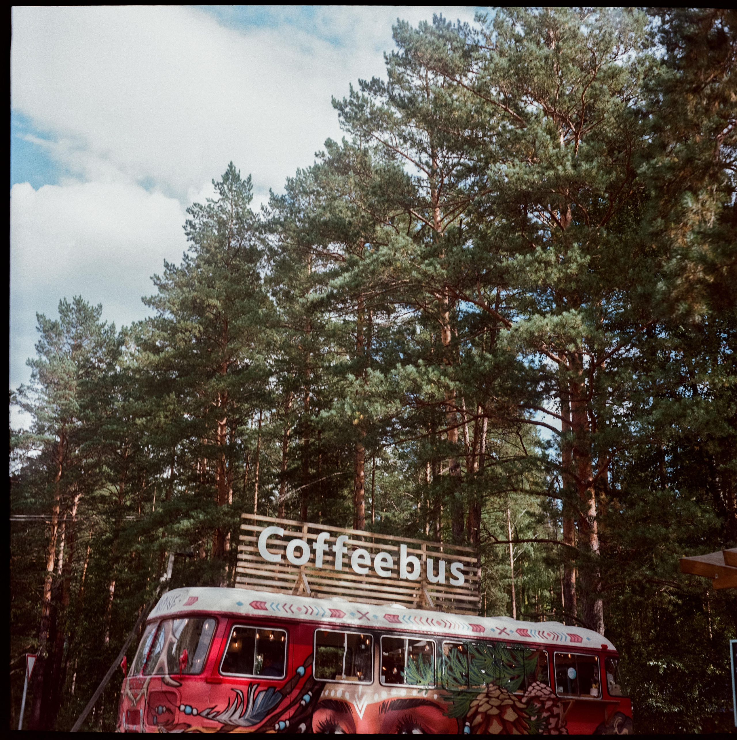 Лучшие места Алтая на фотопленку