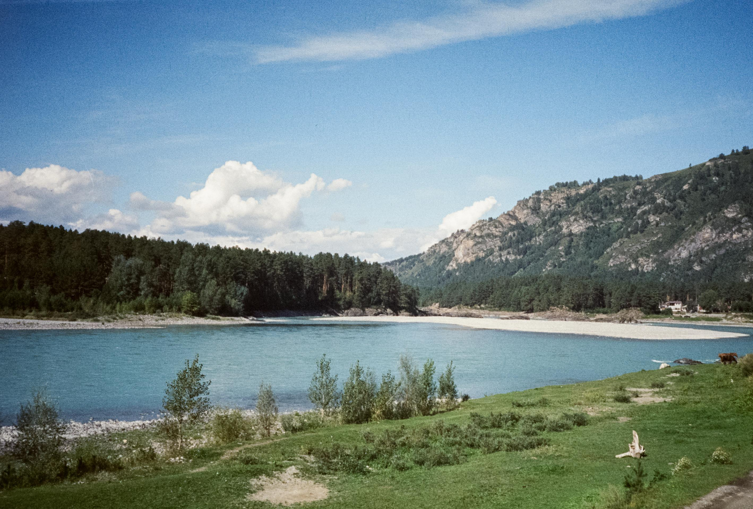 Река Катунь на фотопленку