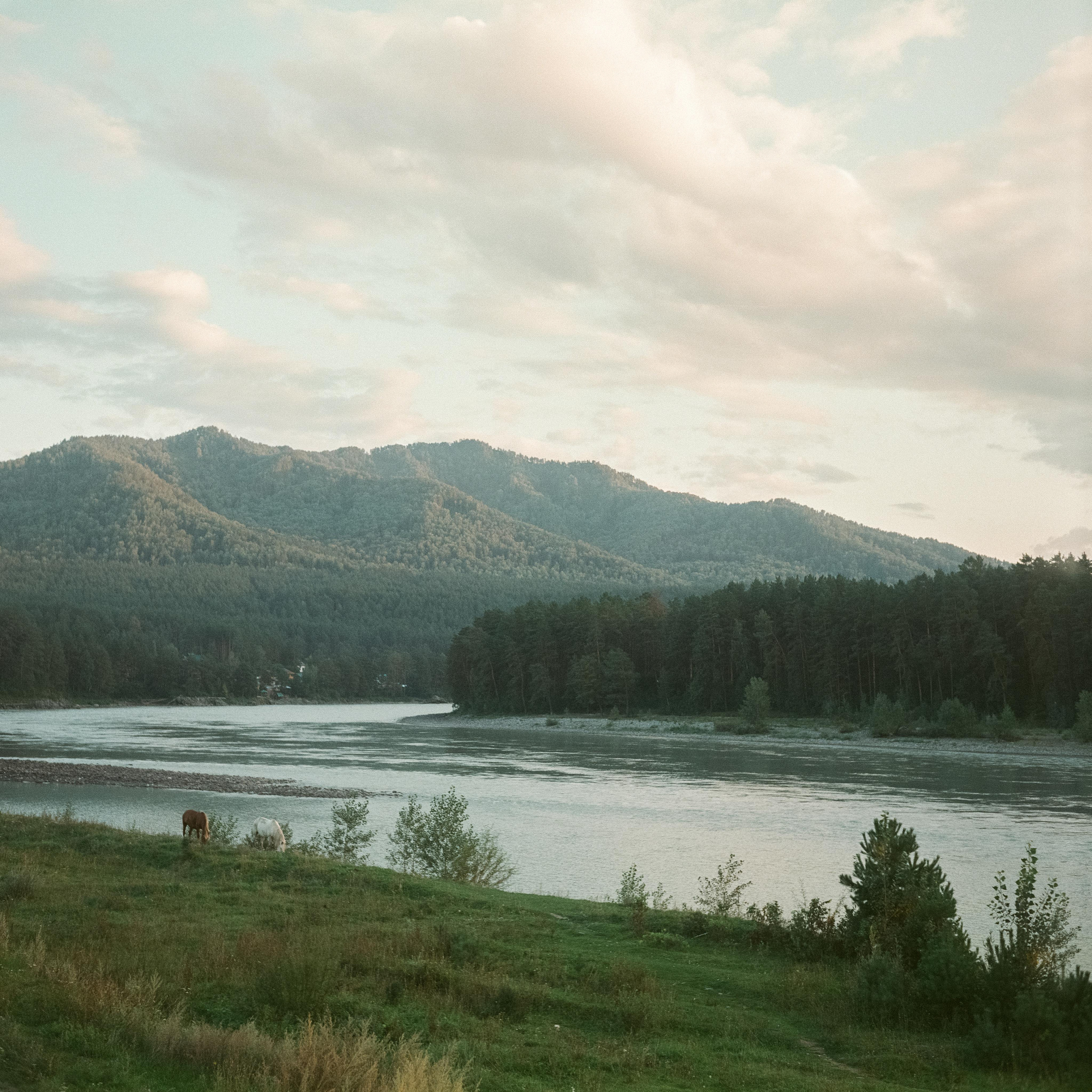 Манжерок, база Бережок, закаты / Super Fujica-6 / Fujifilm NPL 160