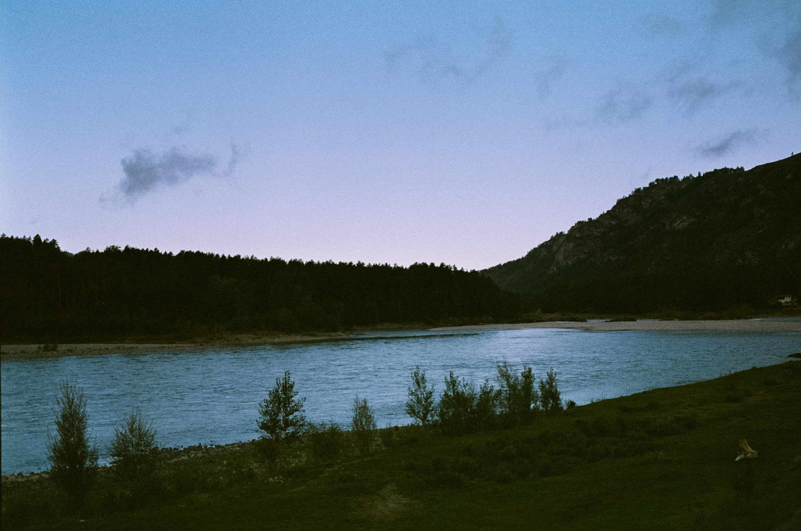 Contax G1 Green Label