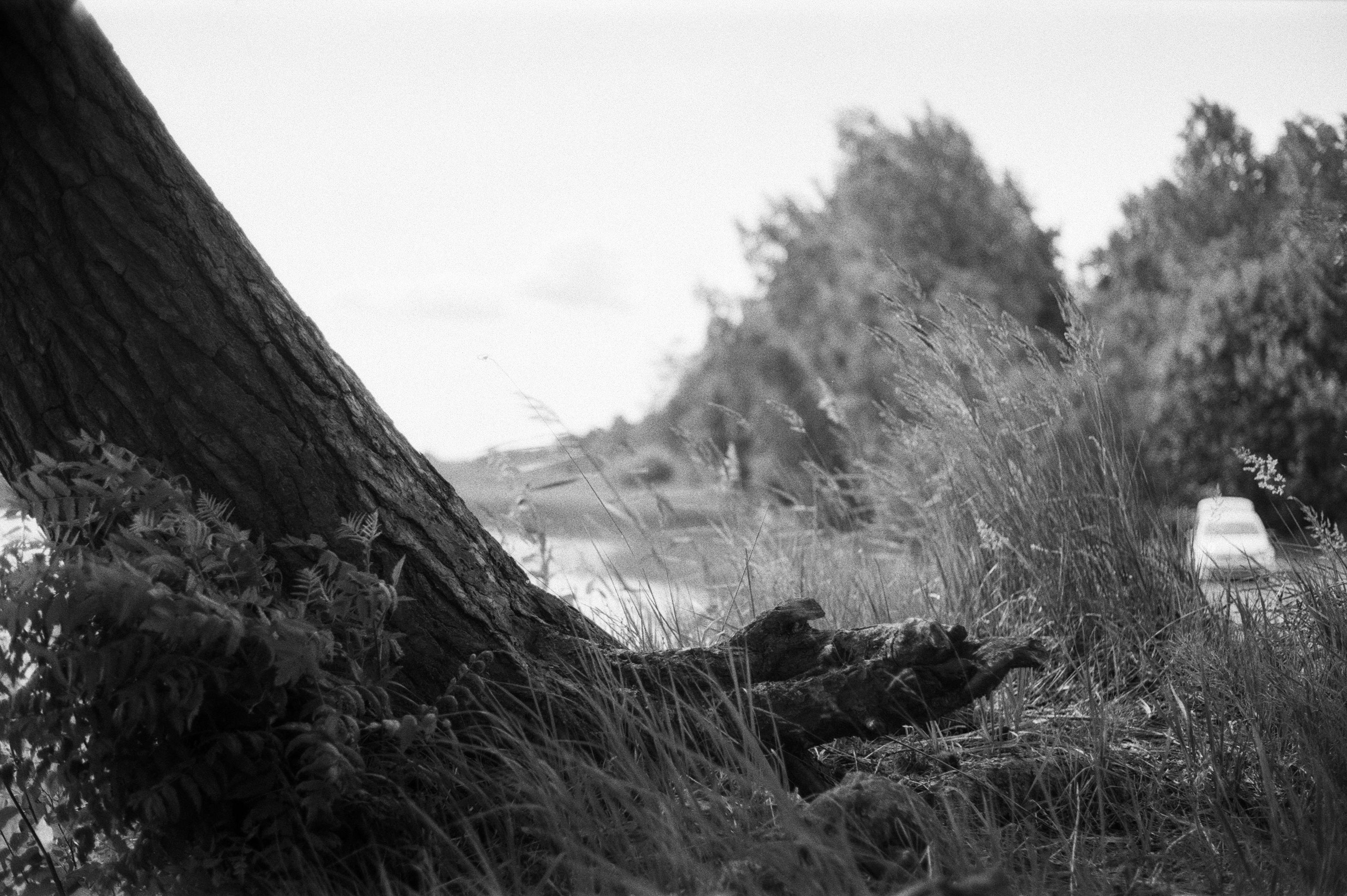 Фотосессия у Дубль дома у озера Отрадное (Приозерск)