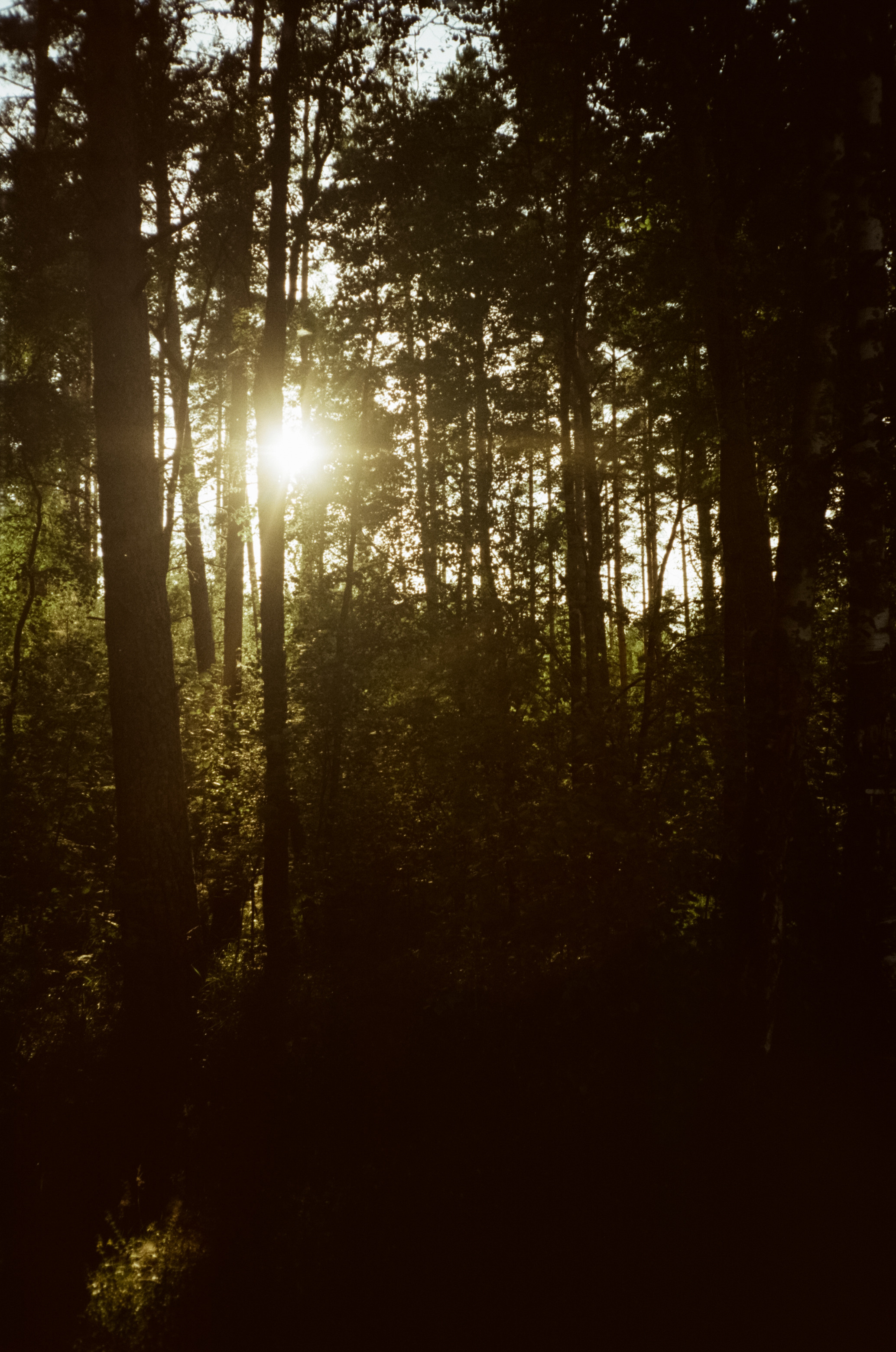 Дубль Дом — Приозерск, озеро Отрадное, первый день