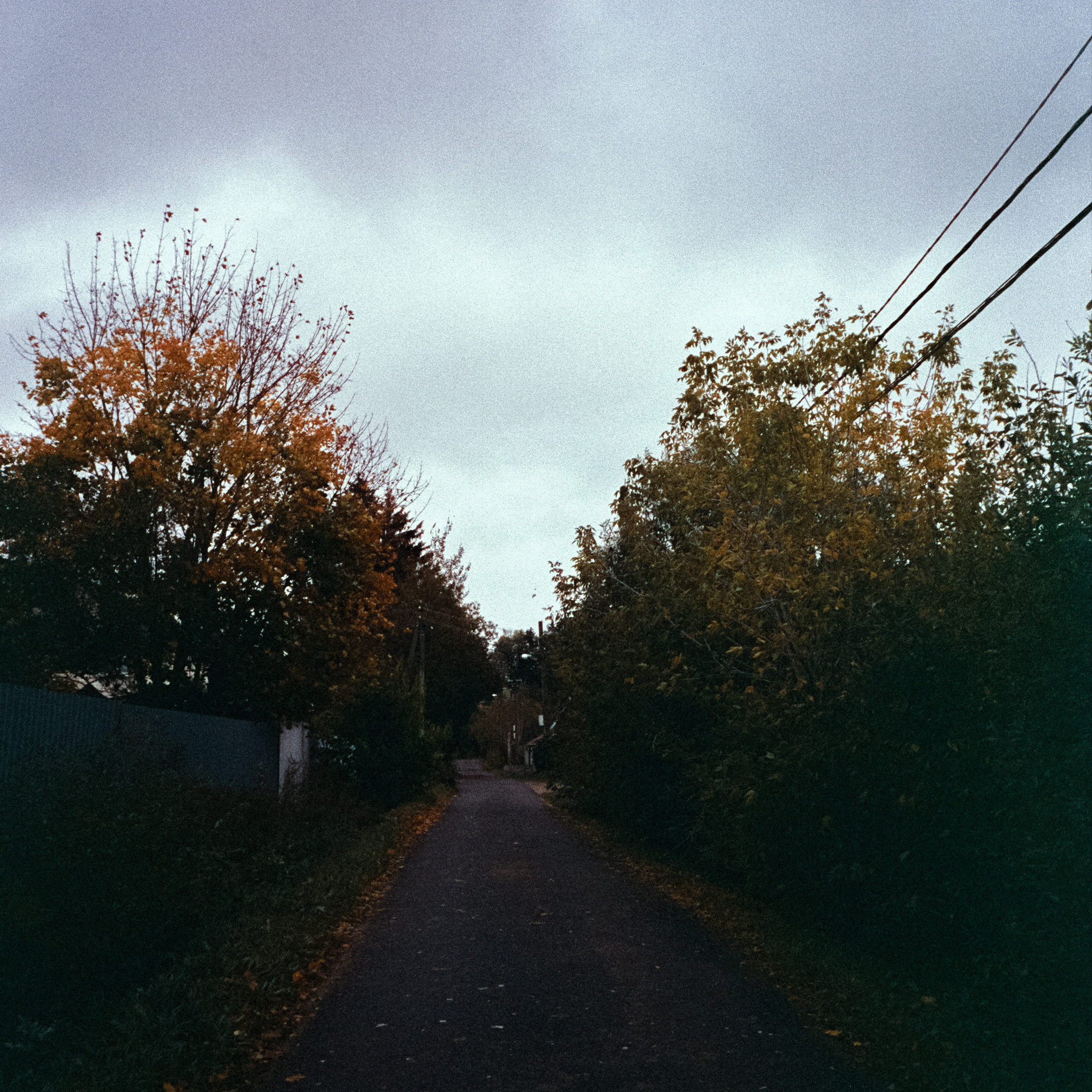 Fuji Work Record 28 мм / Konica Centuria Super 400 / Давыдовское