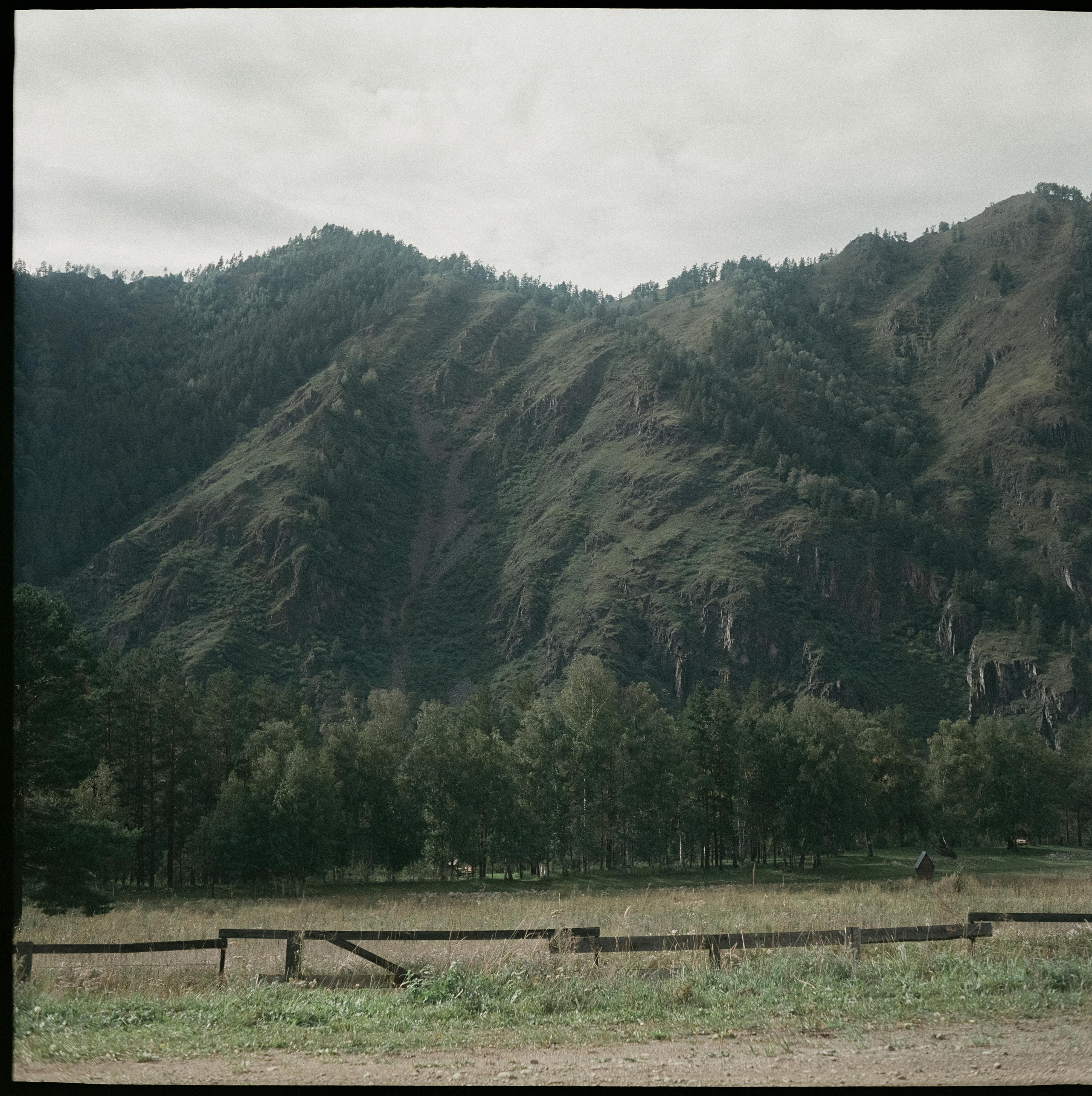 Чемальский тракт / Super Fujica-6 / Fujifilm NPL 160