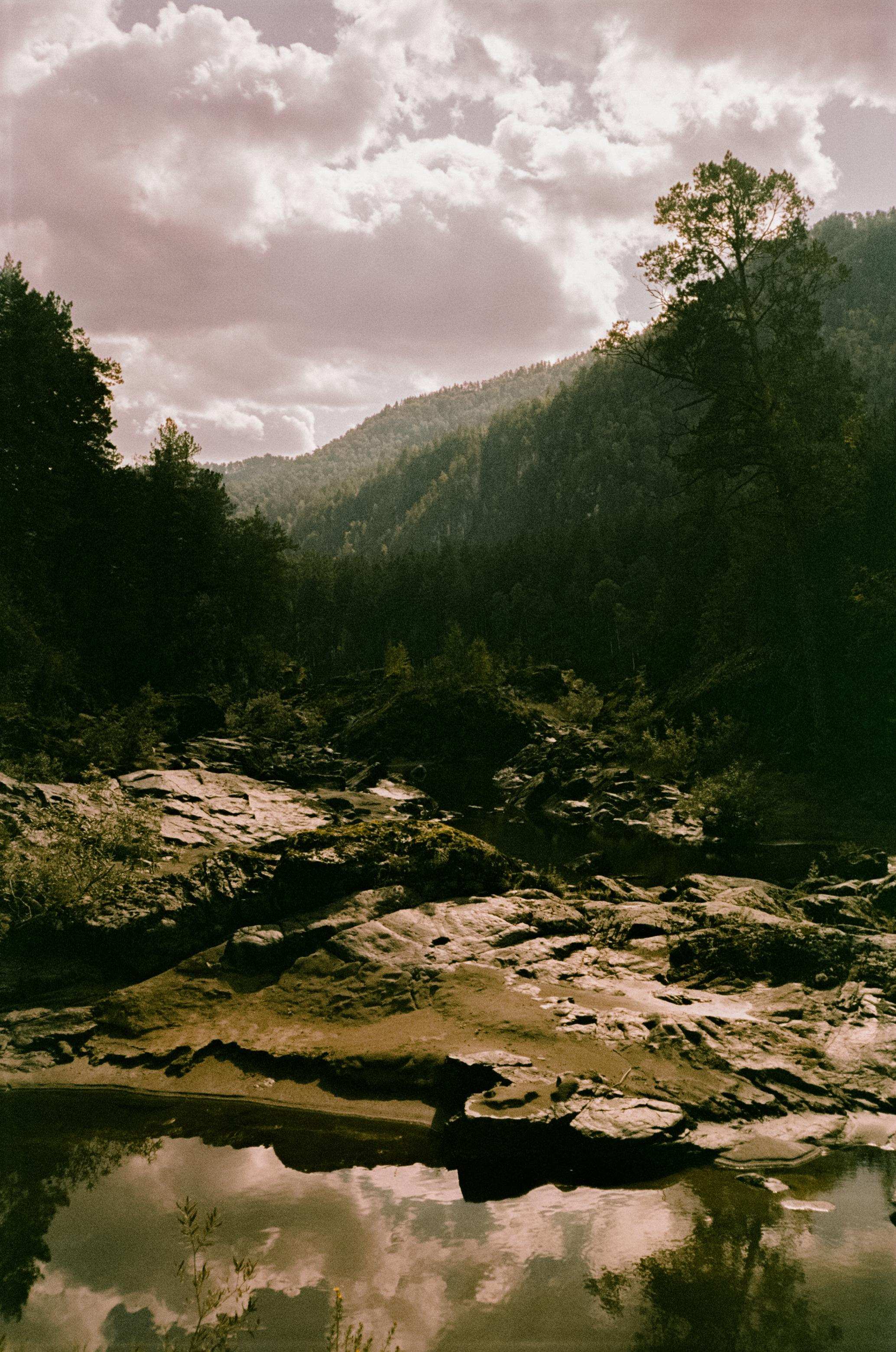Кедровый Остров, река Катунь, база Бережок