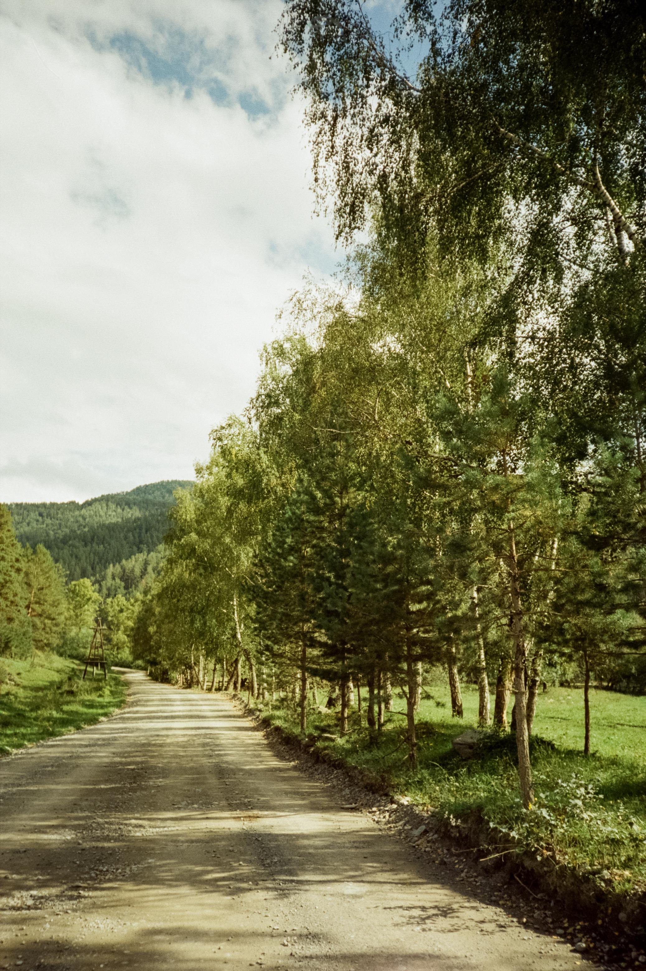 Пример фотографии Canon 11 